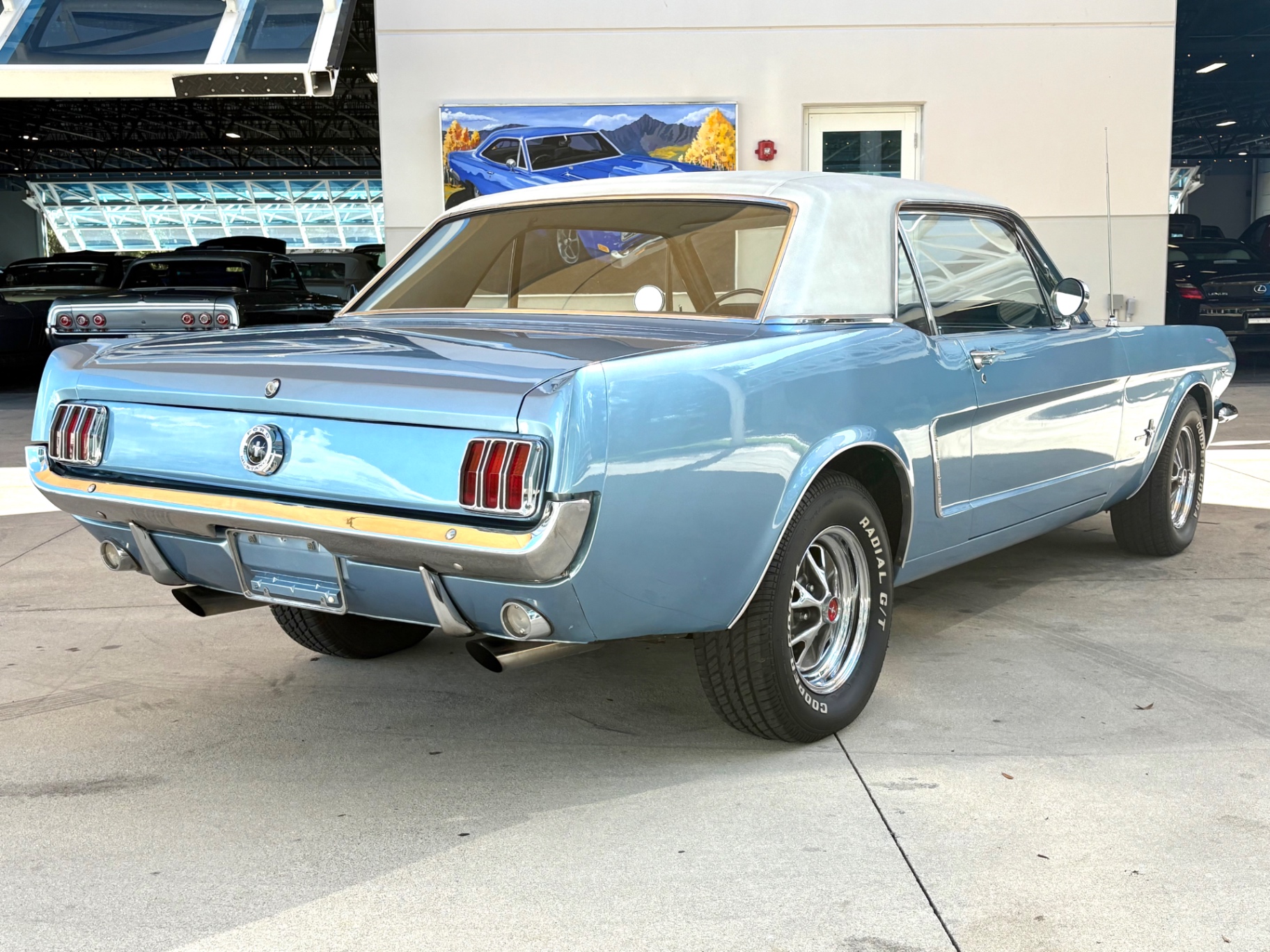 Vehicle photo 6