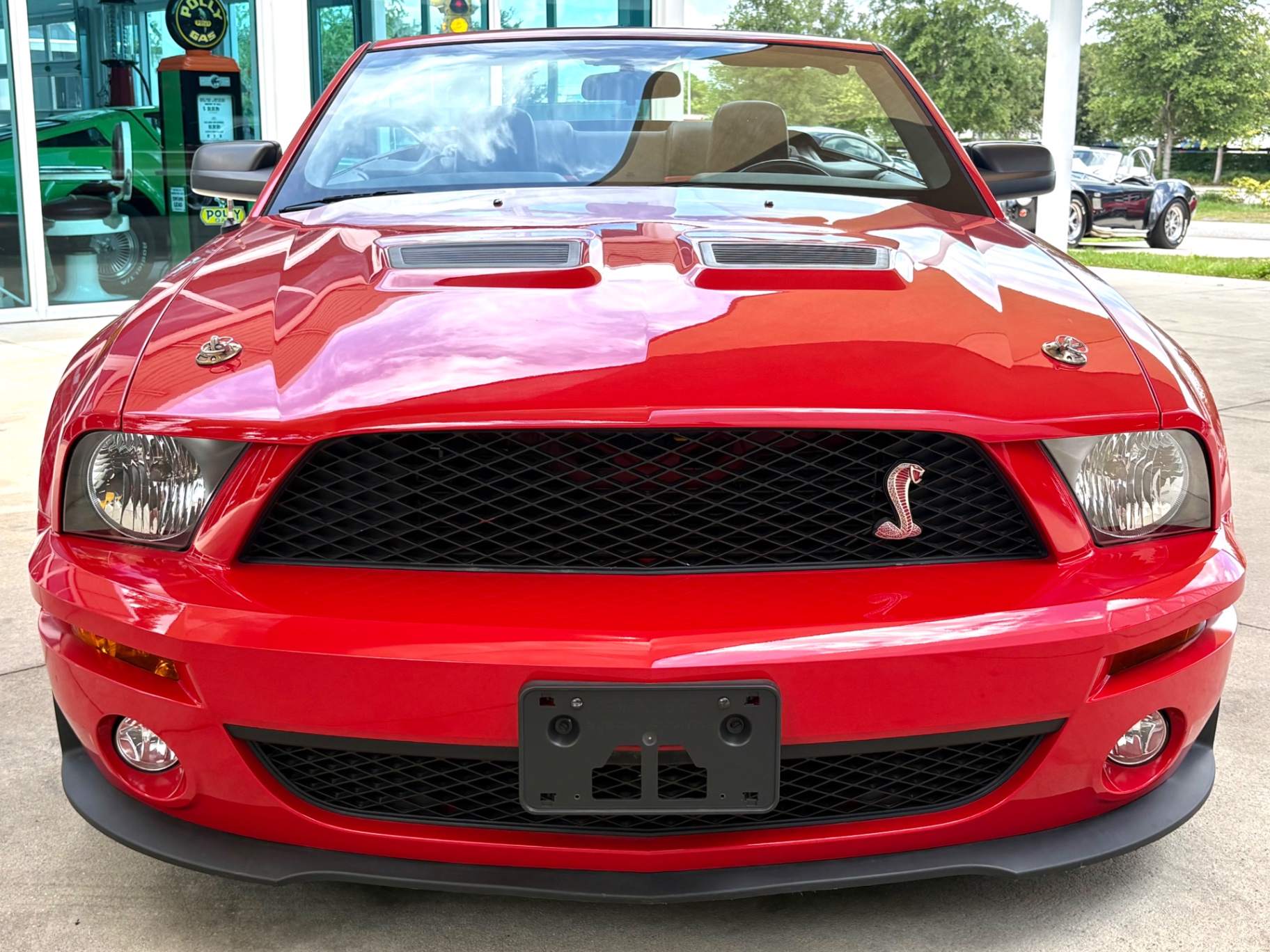 2006 Ford Mustang GT Deluxe's photo
