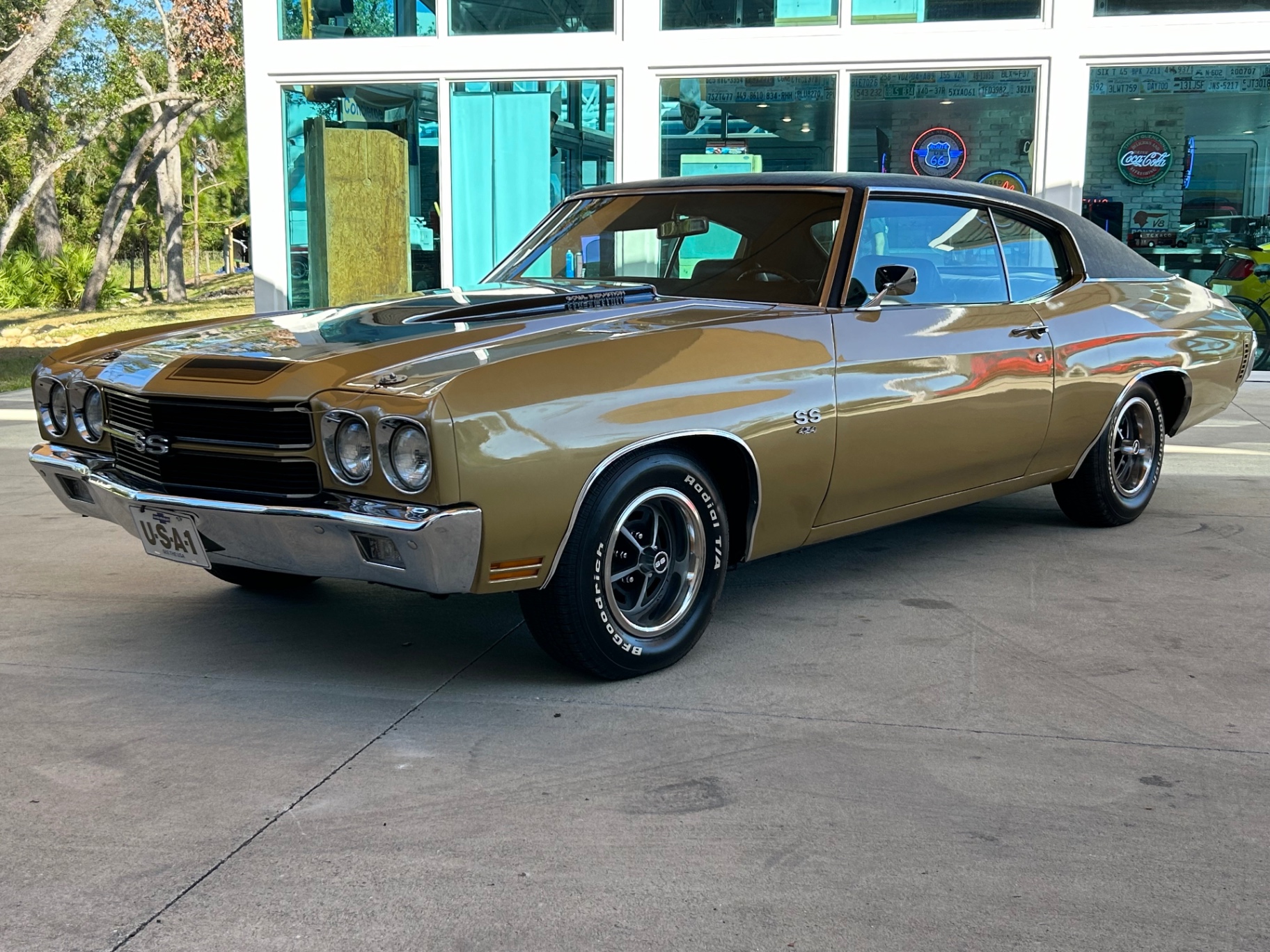 Vehicle photo 12
