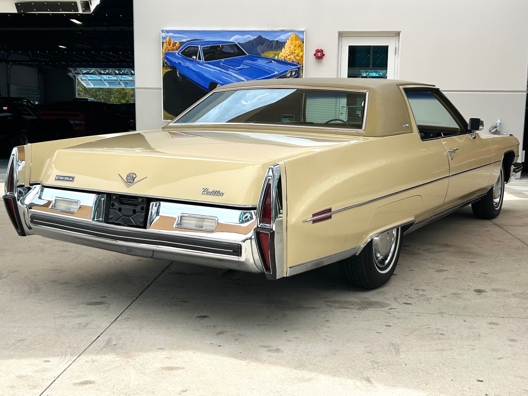 Vehicle photo 5
