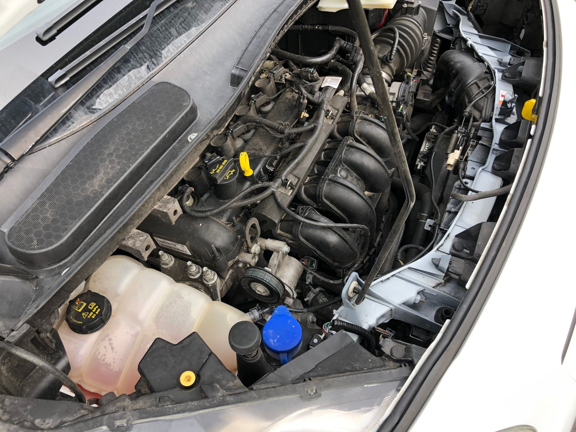 Vehicle photo 45