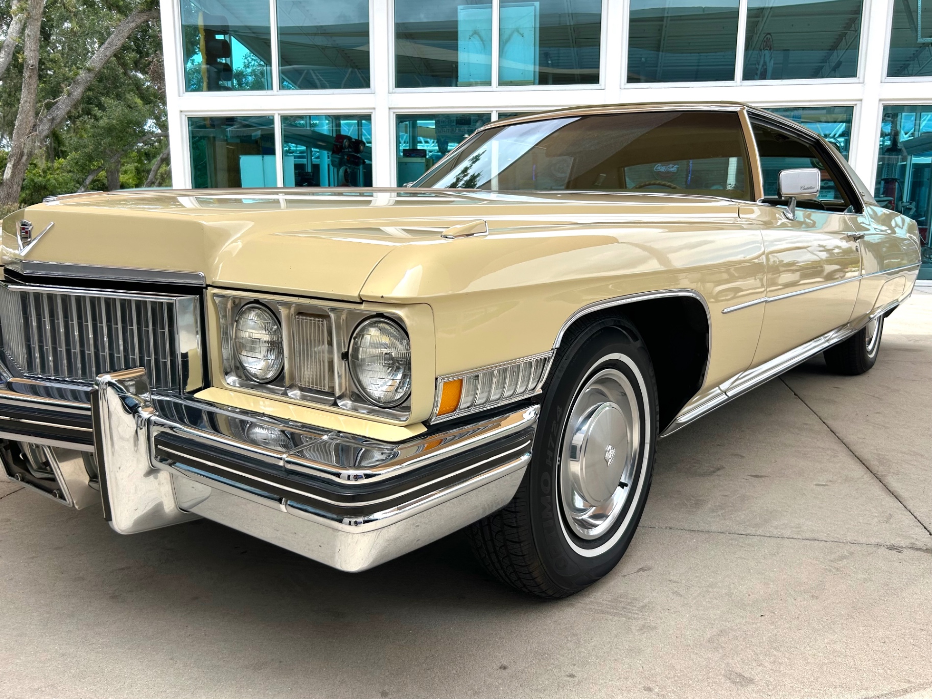 Vehicle photo 10
