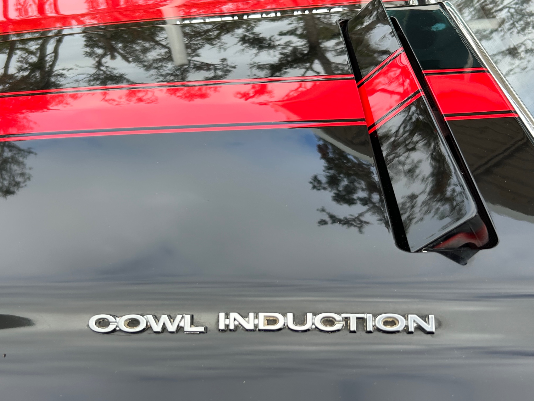 Vehicle photo 18