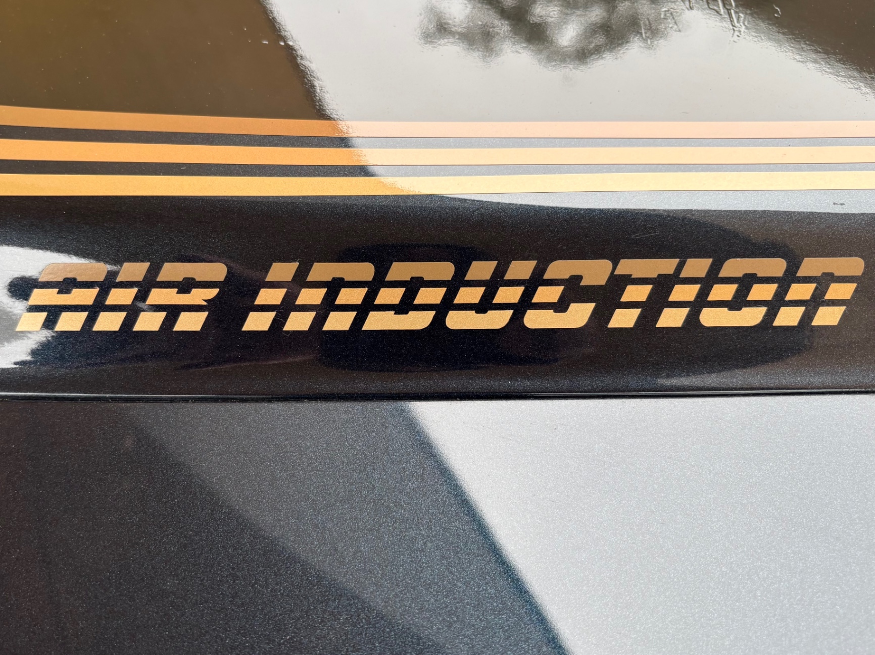 Vehicle photo 22