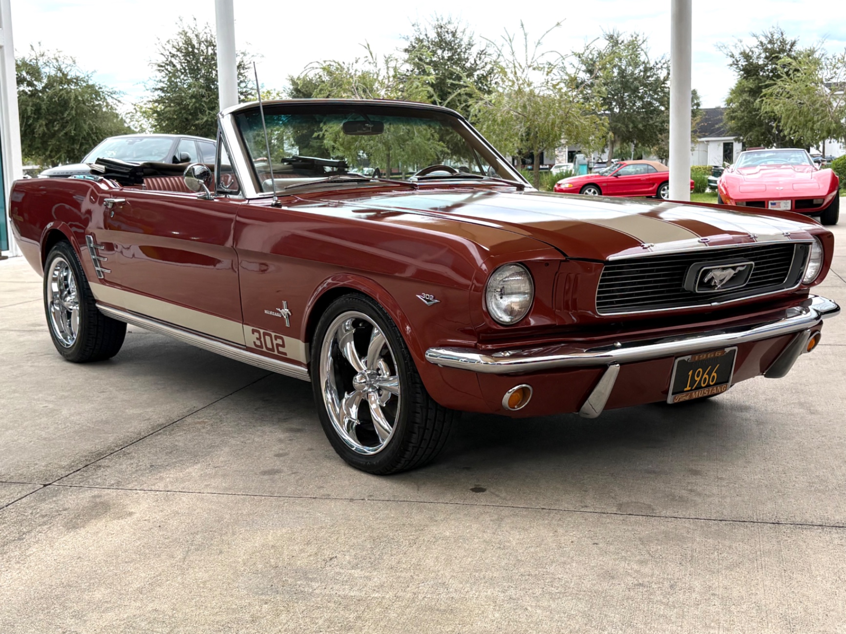 Vehicle photo 4