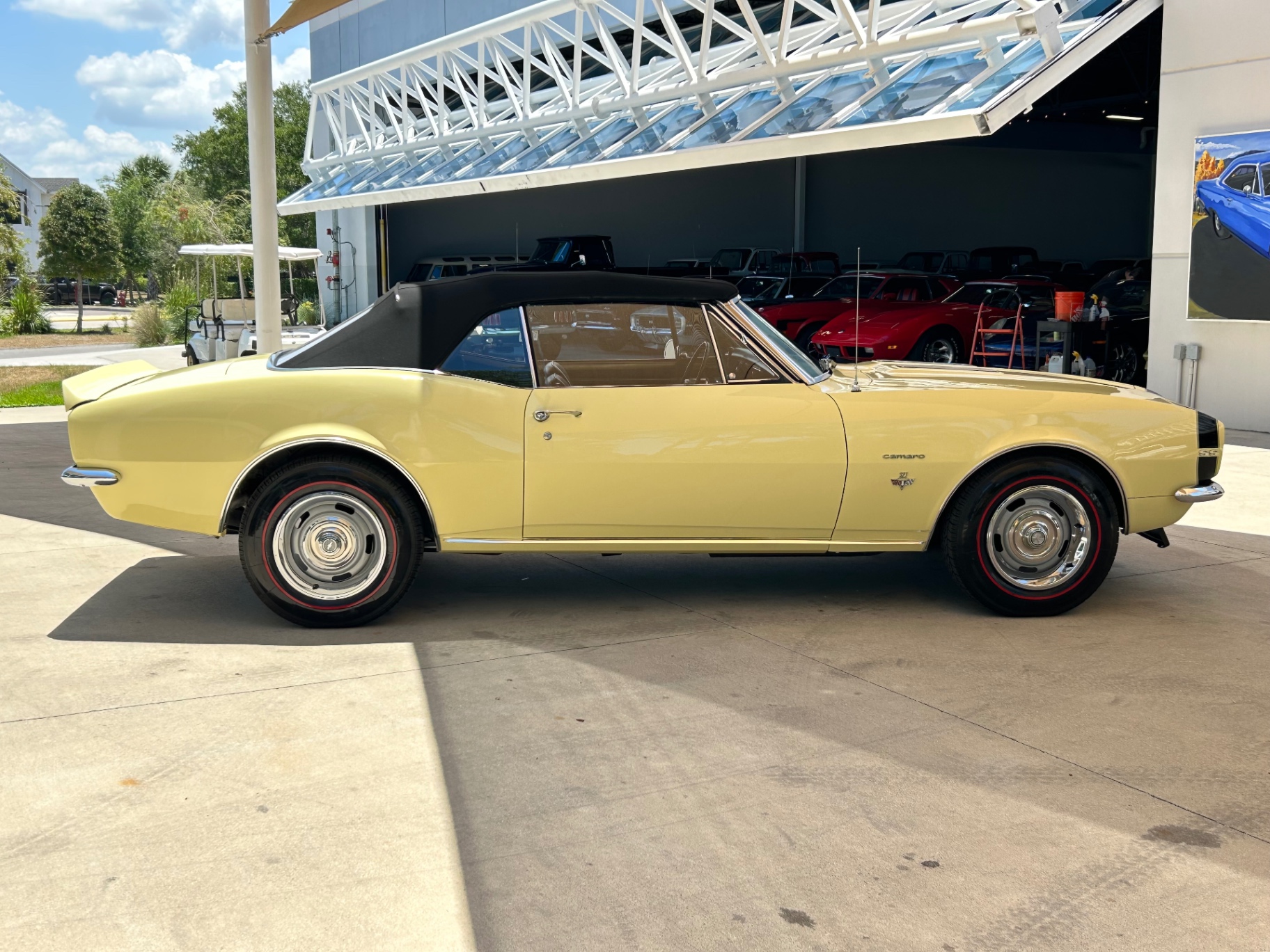 Vehicle photo 12