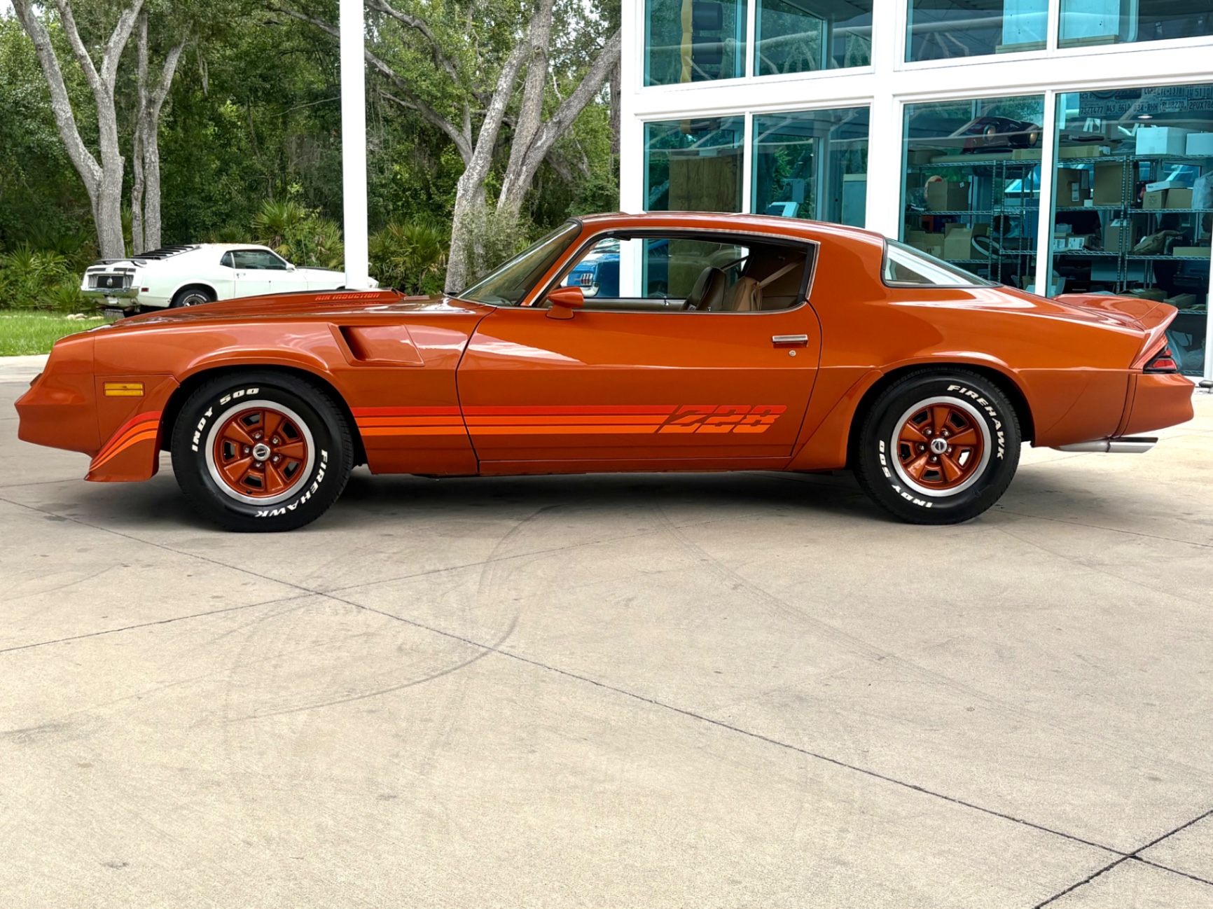 Vehicle photo 10