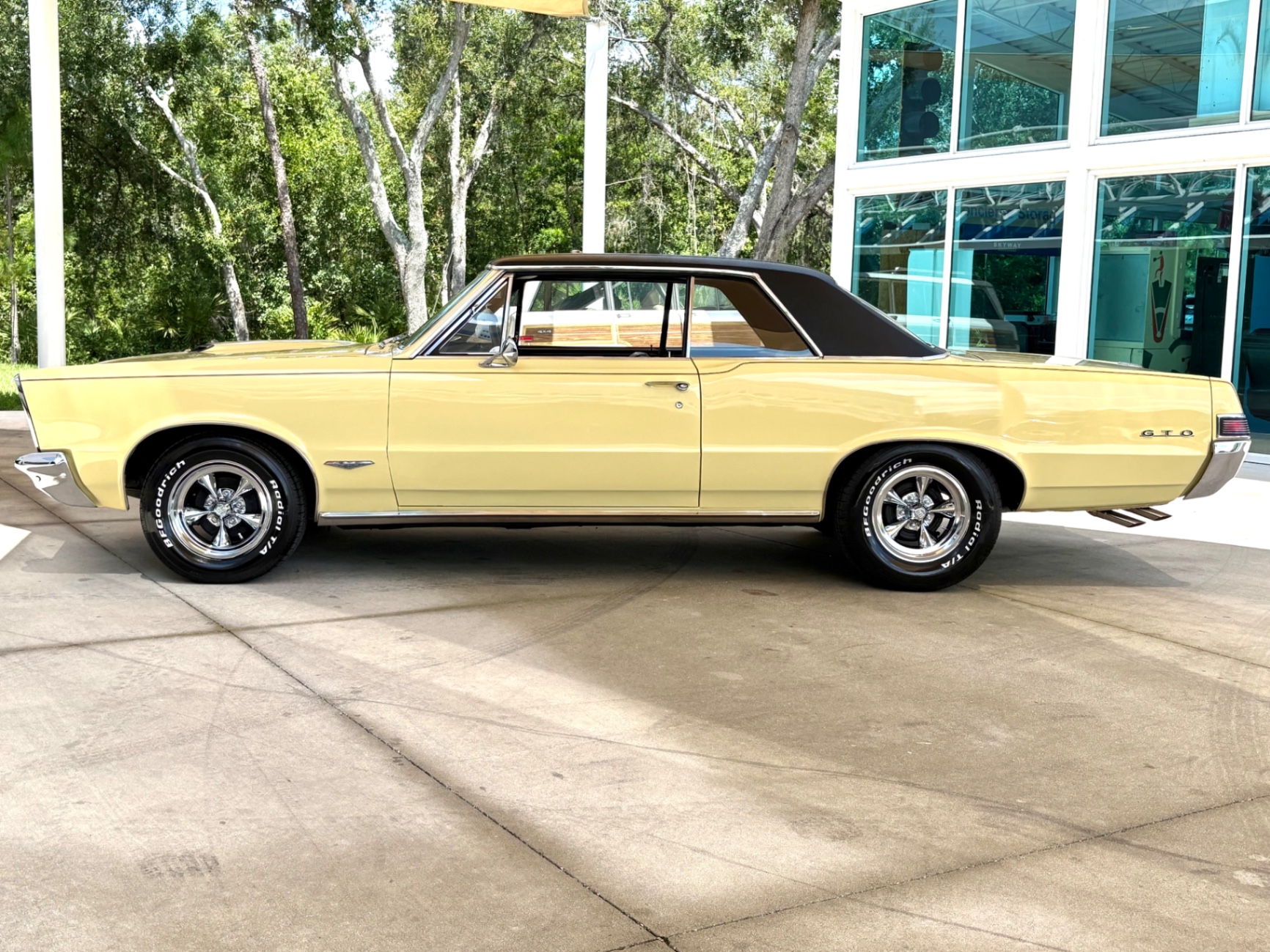 Vehicle photo 11