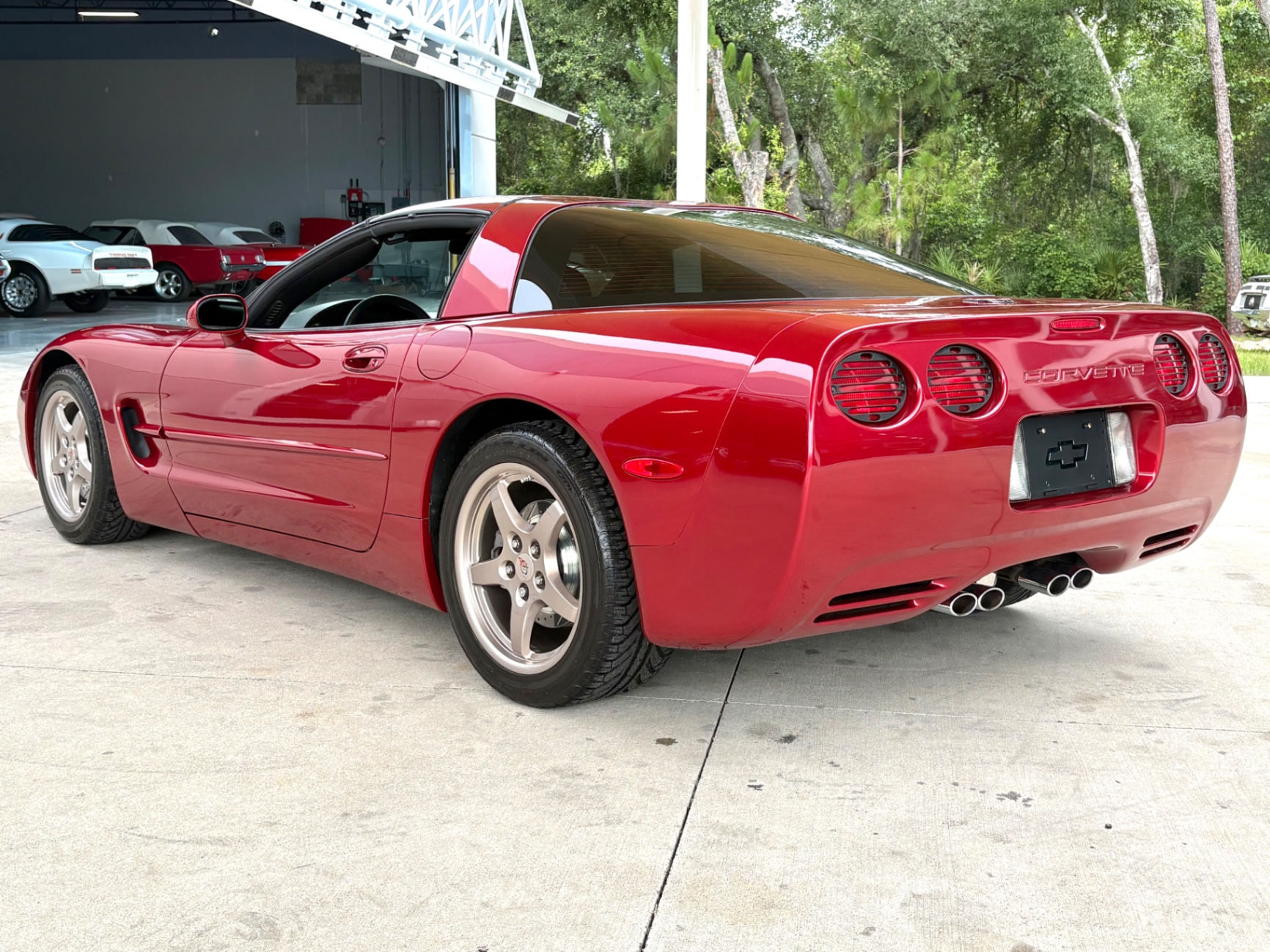 Vehicle photo 10
