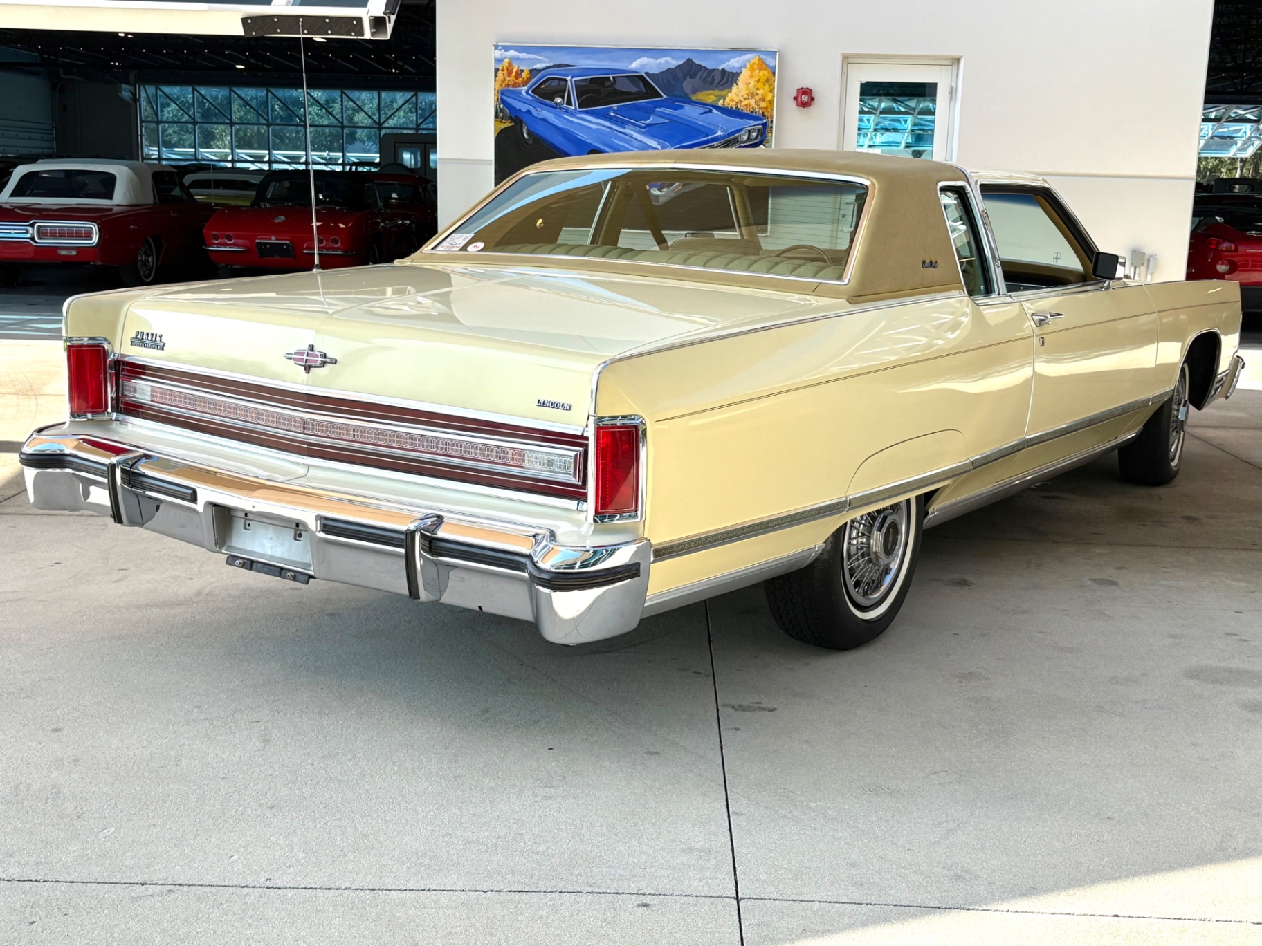 Vehicle photo 6