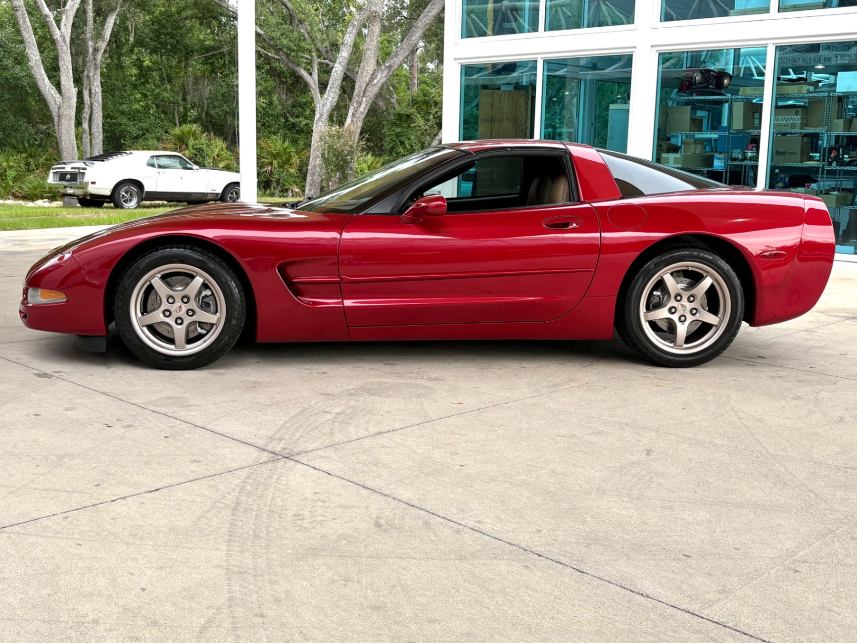 Vehicle photo 11