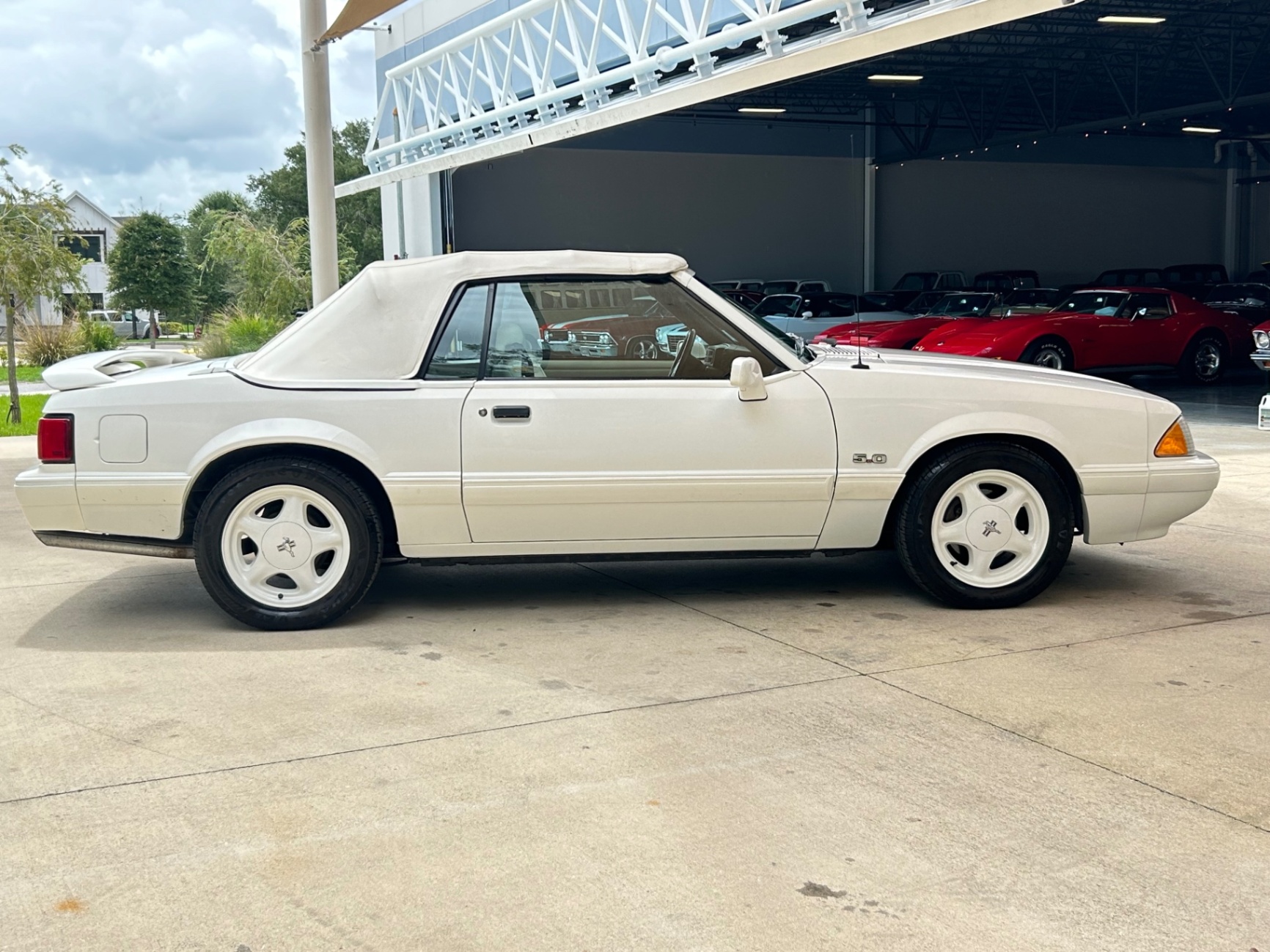 Vehicle photo 24