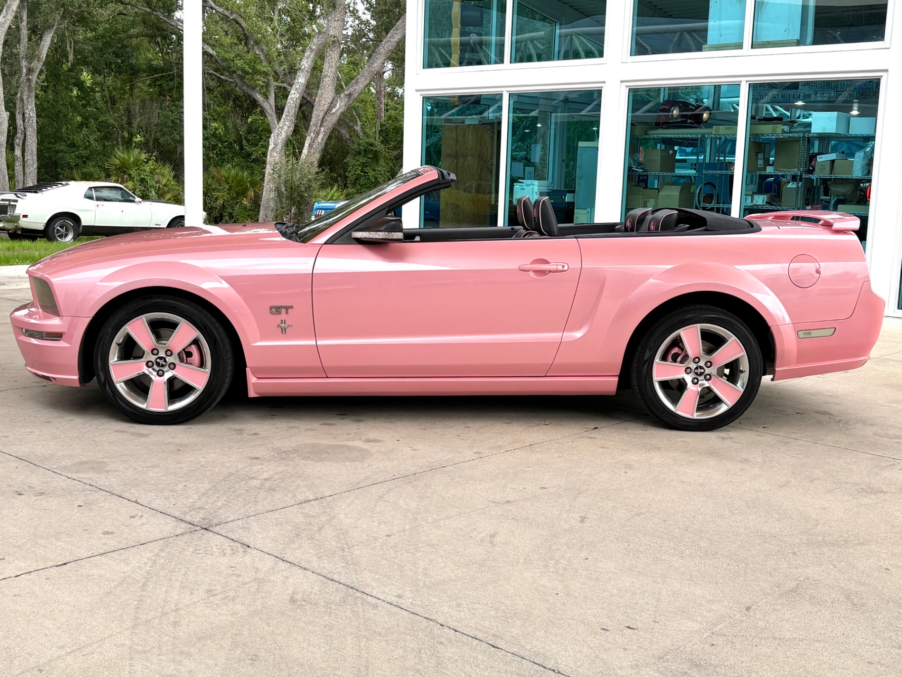 Vehicle photo 10