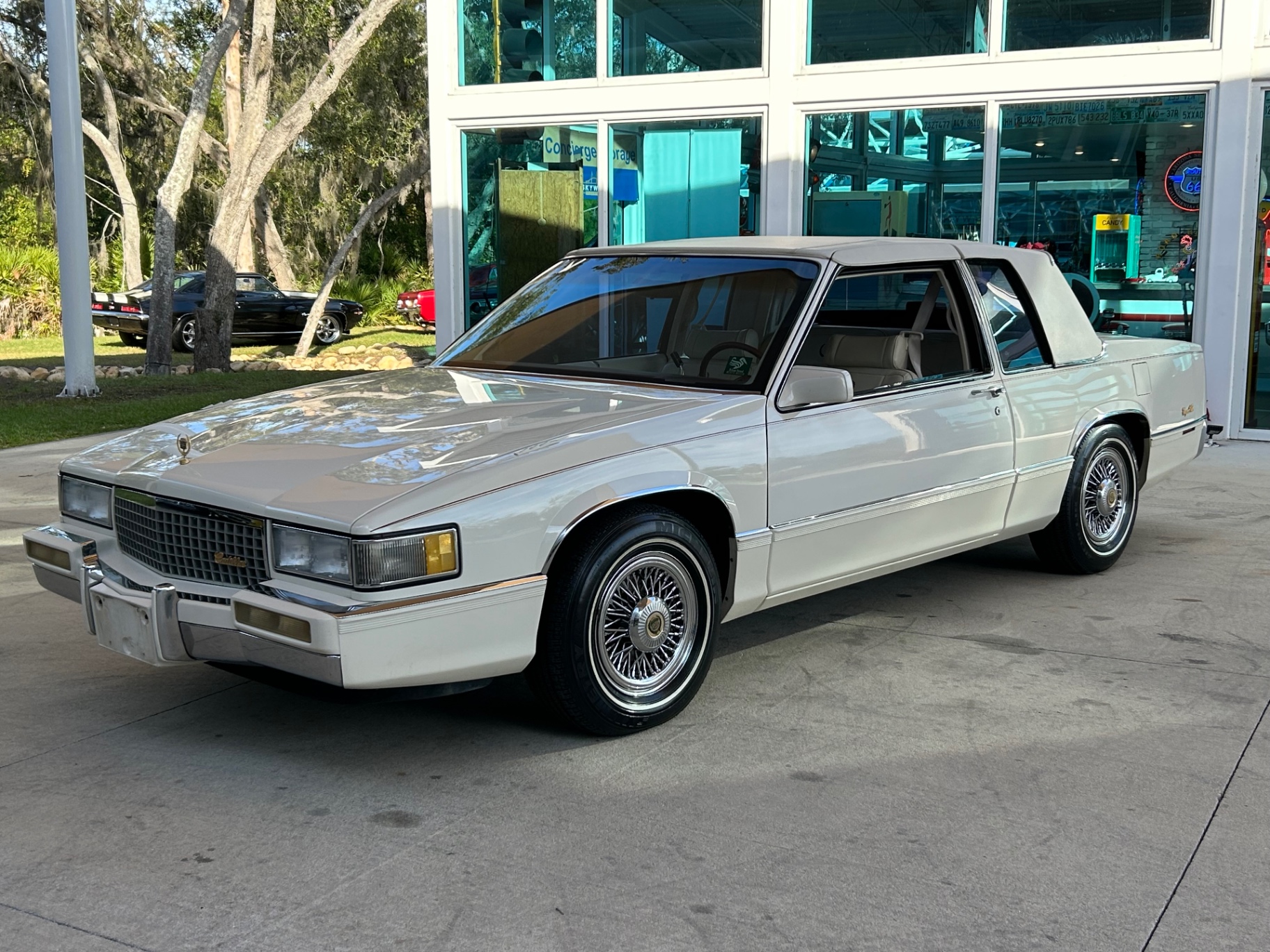 Vehicle photo 12