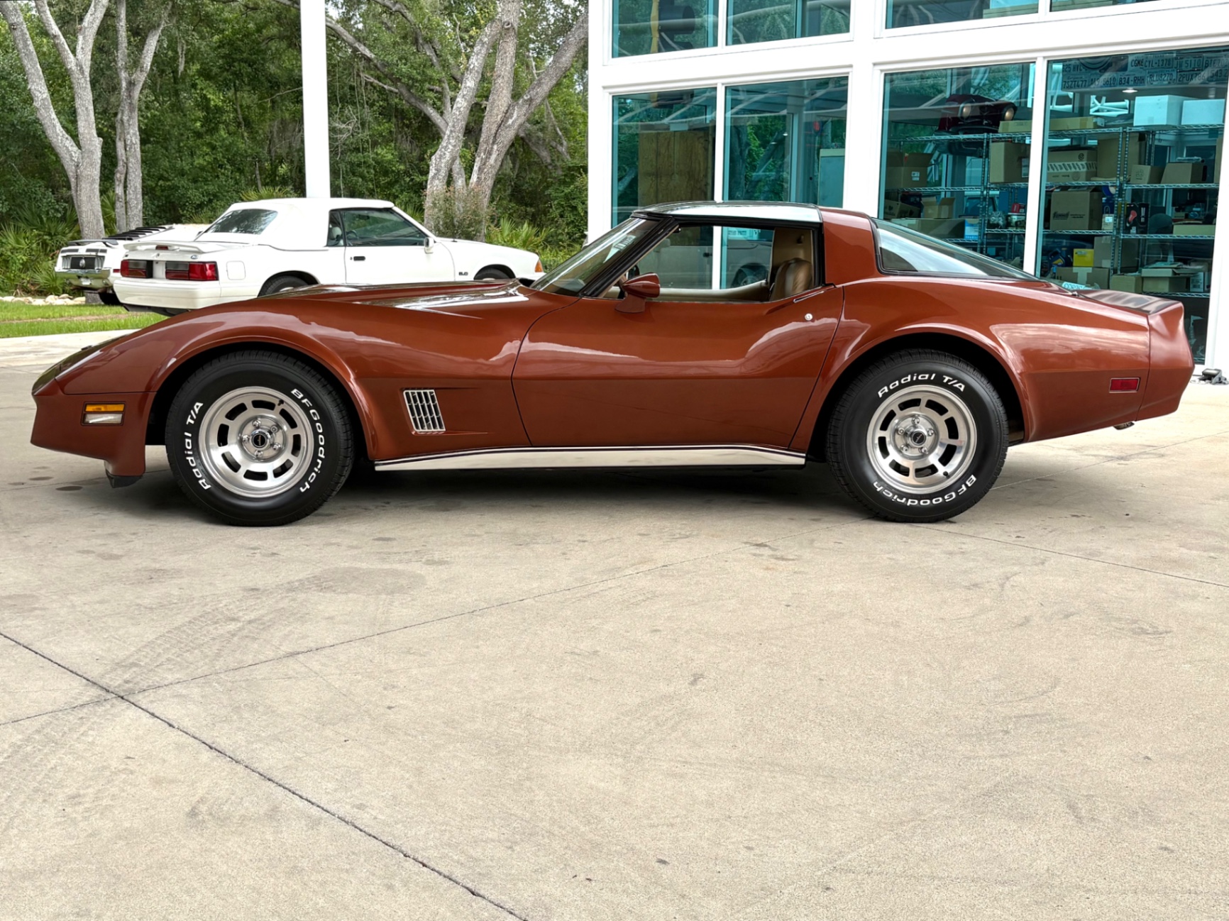 Vehicle photo 10