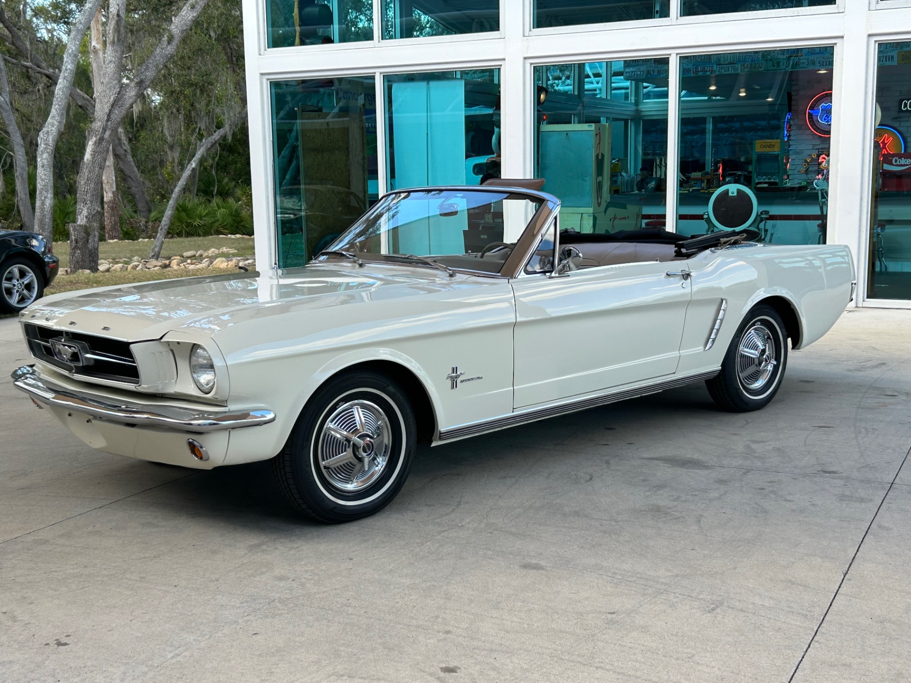 Vehicle photo 12