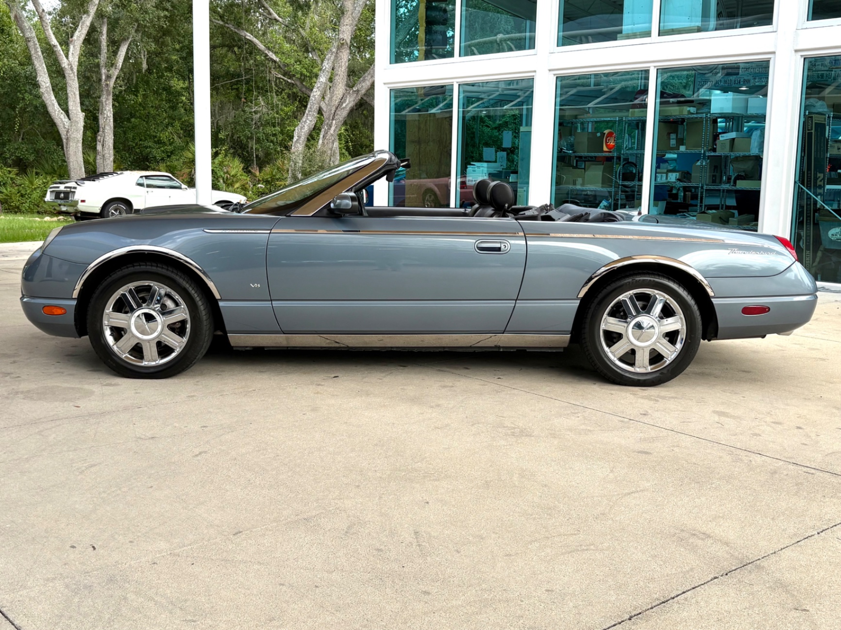 Vehicle photo 10