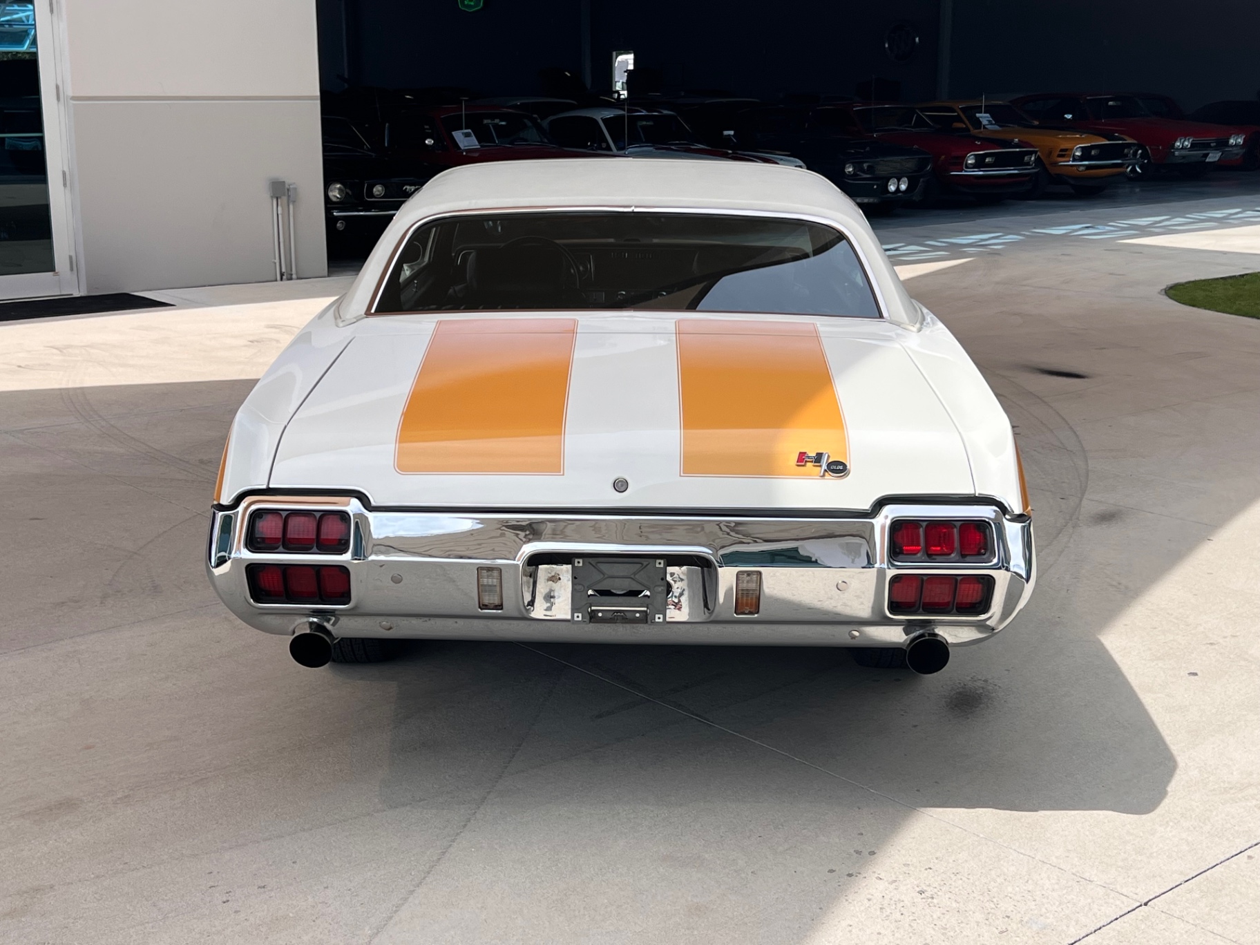 Vehicle photo 5