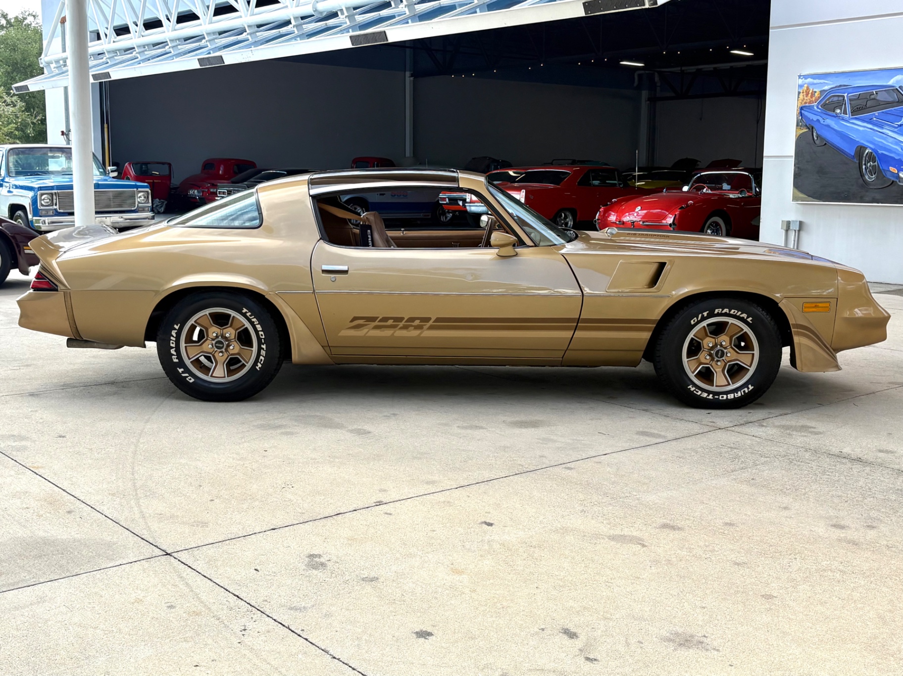 Vehicle photo 5