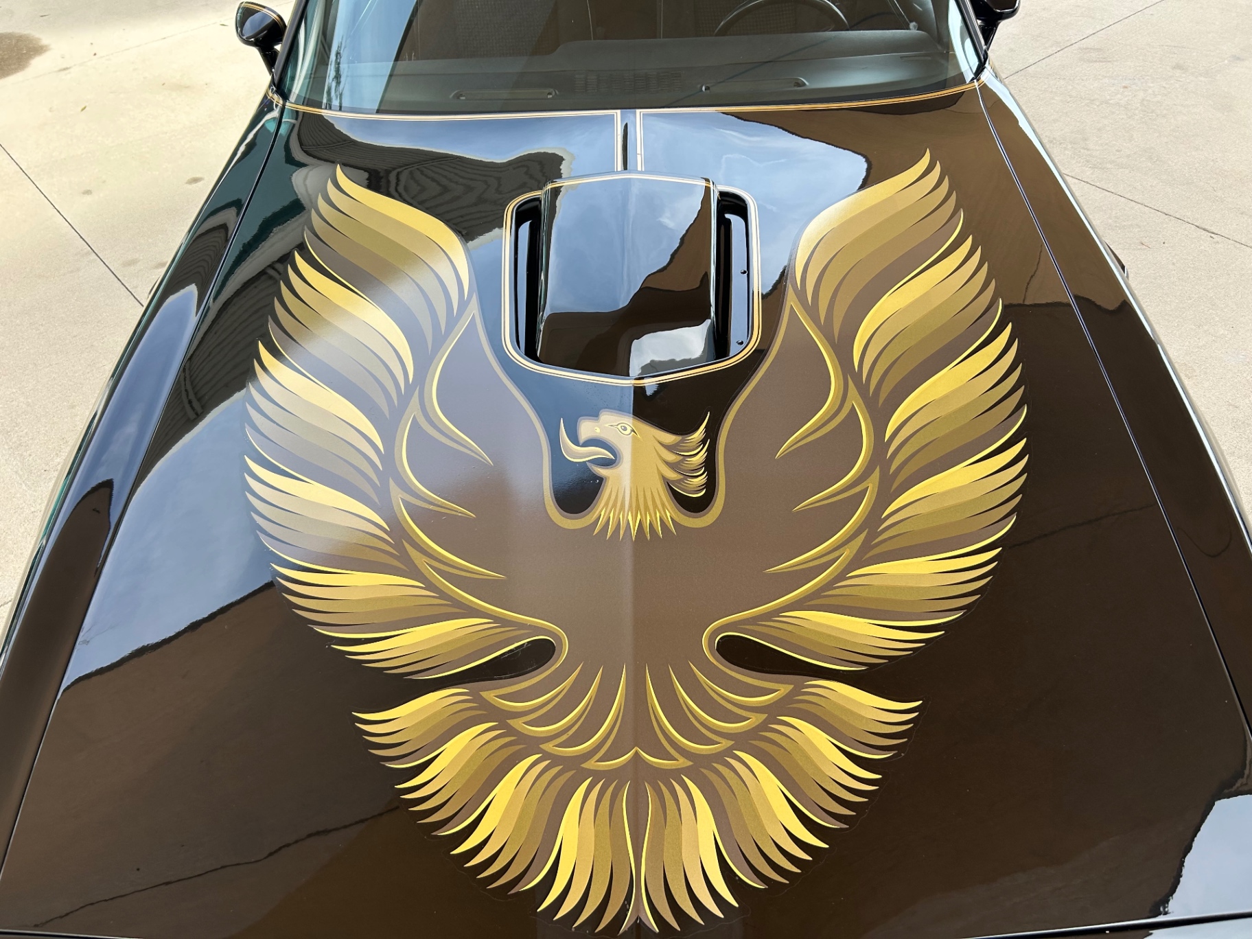 Vehicle photo 11