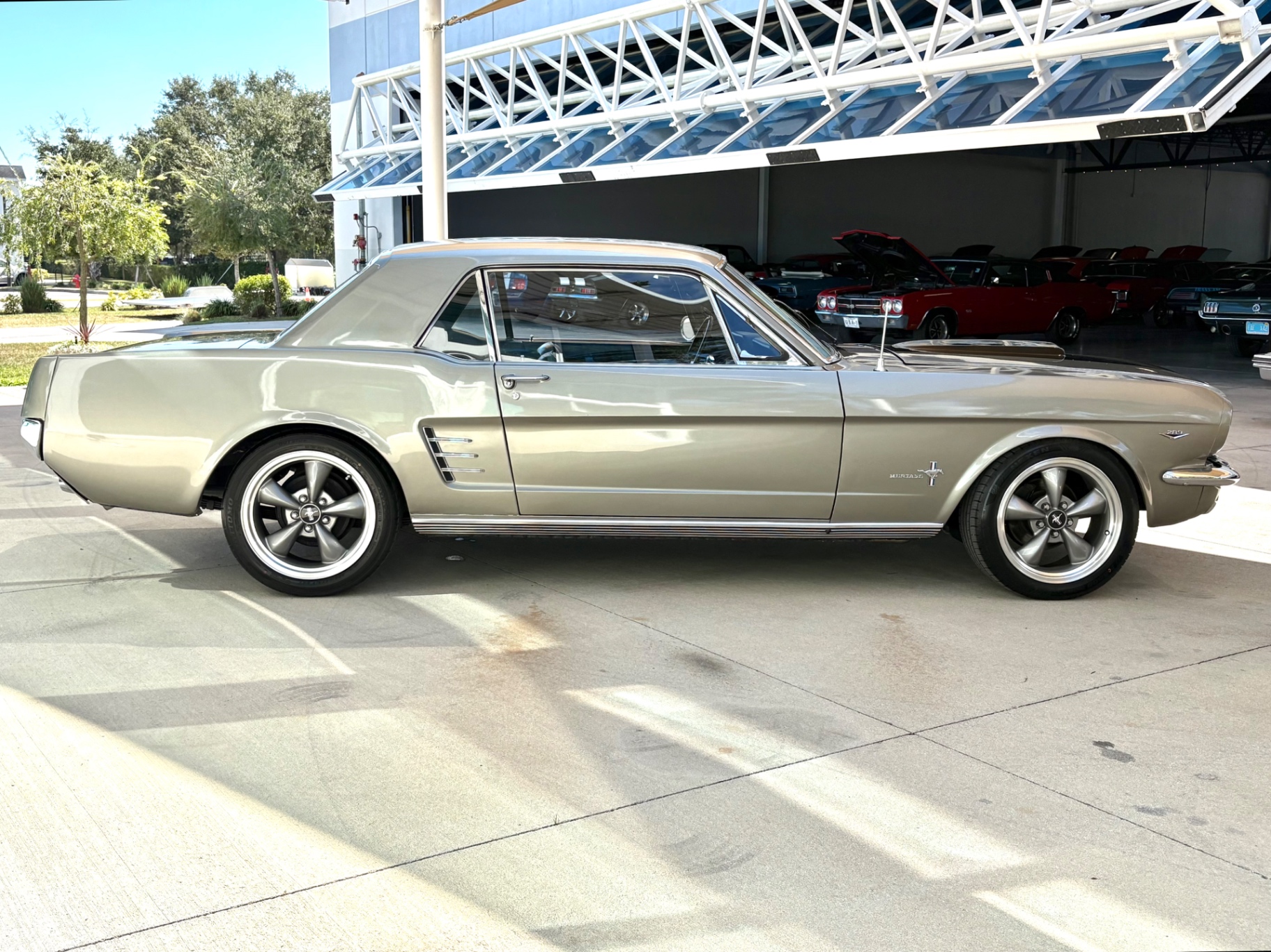 Vehicle photo 5