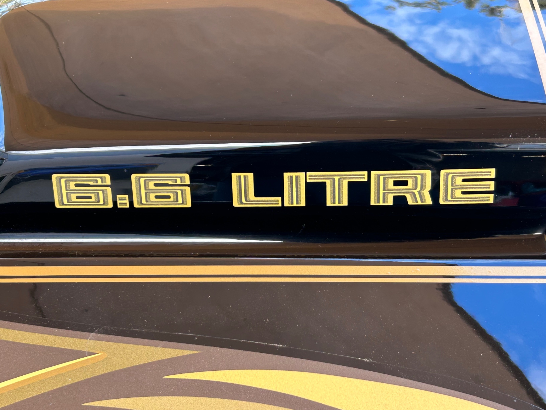 Vehicle photo 13