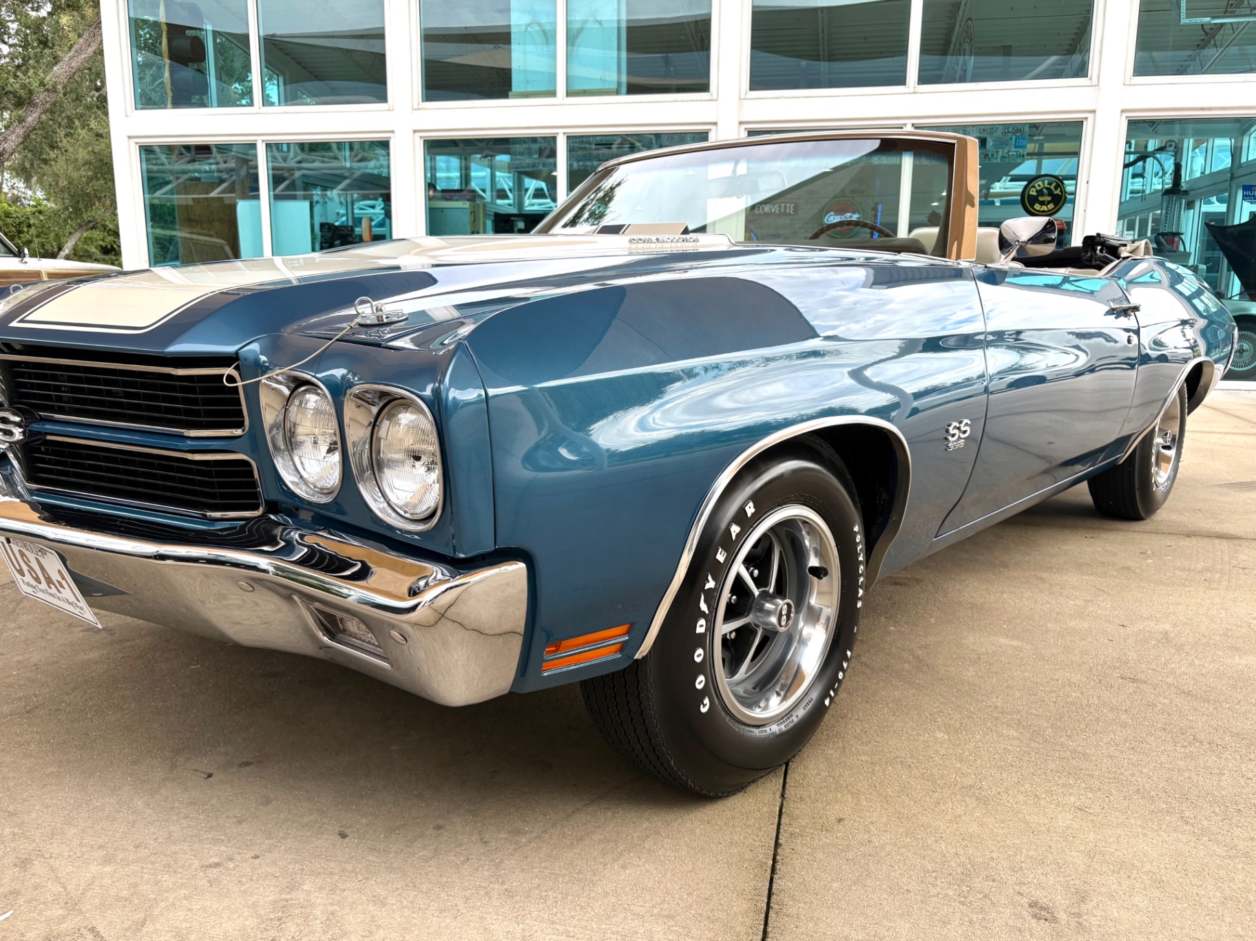 Vehicle photo 10