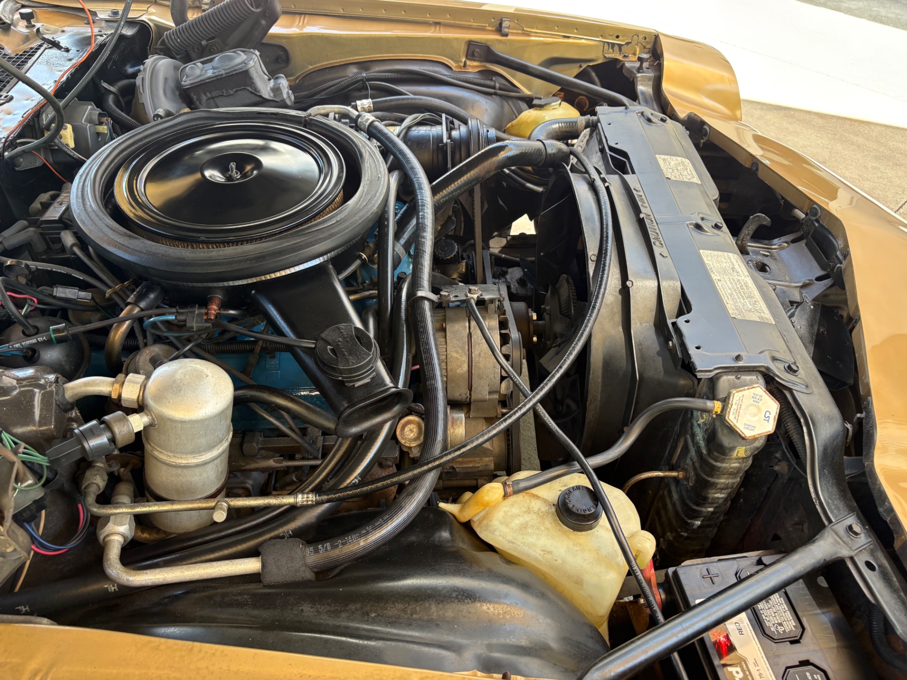 Vehicle photo 11