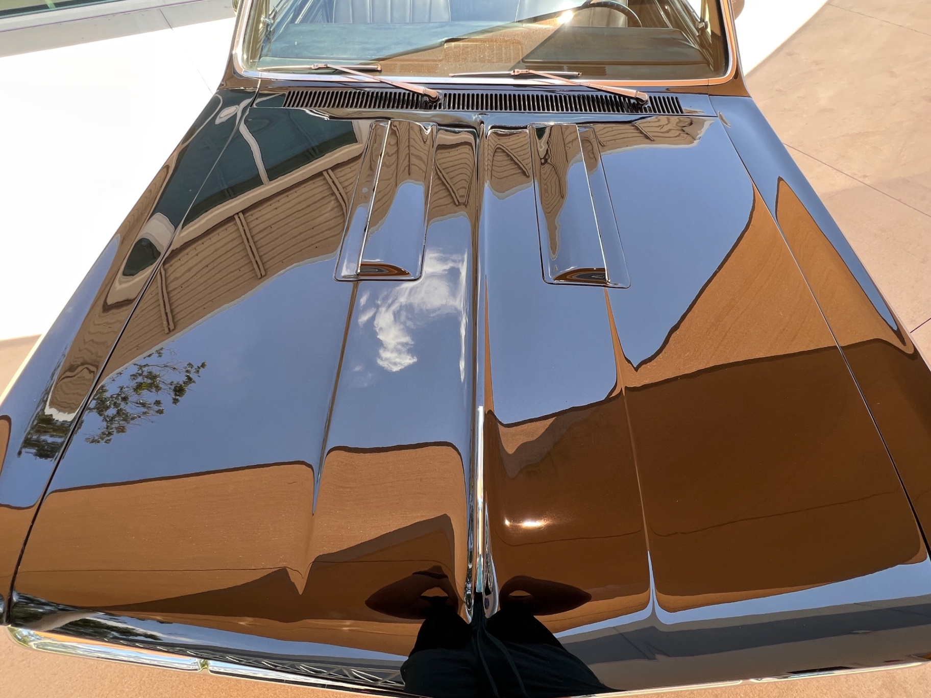 Vehicle photo 13