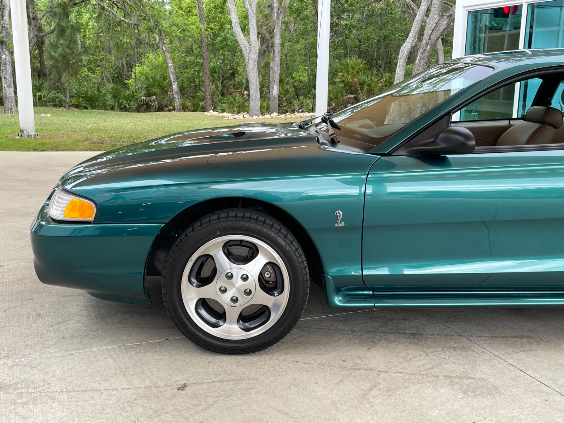 1997 Ford Mustang Cobra photo 3