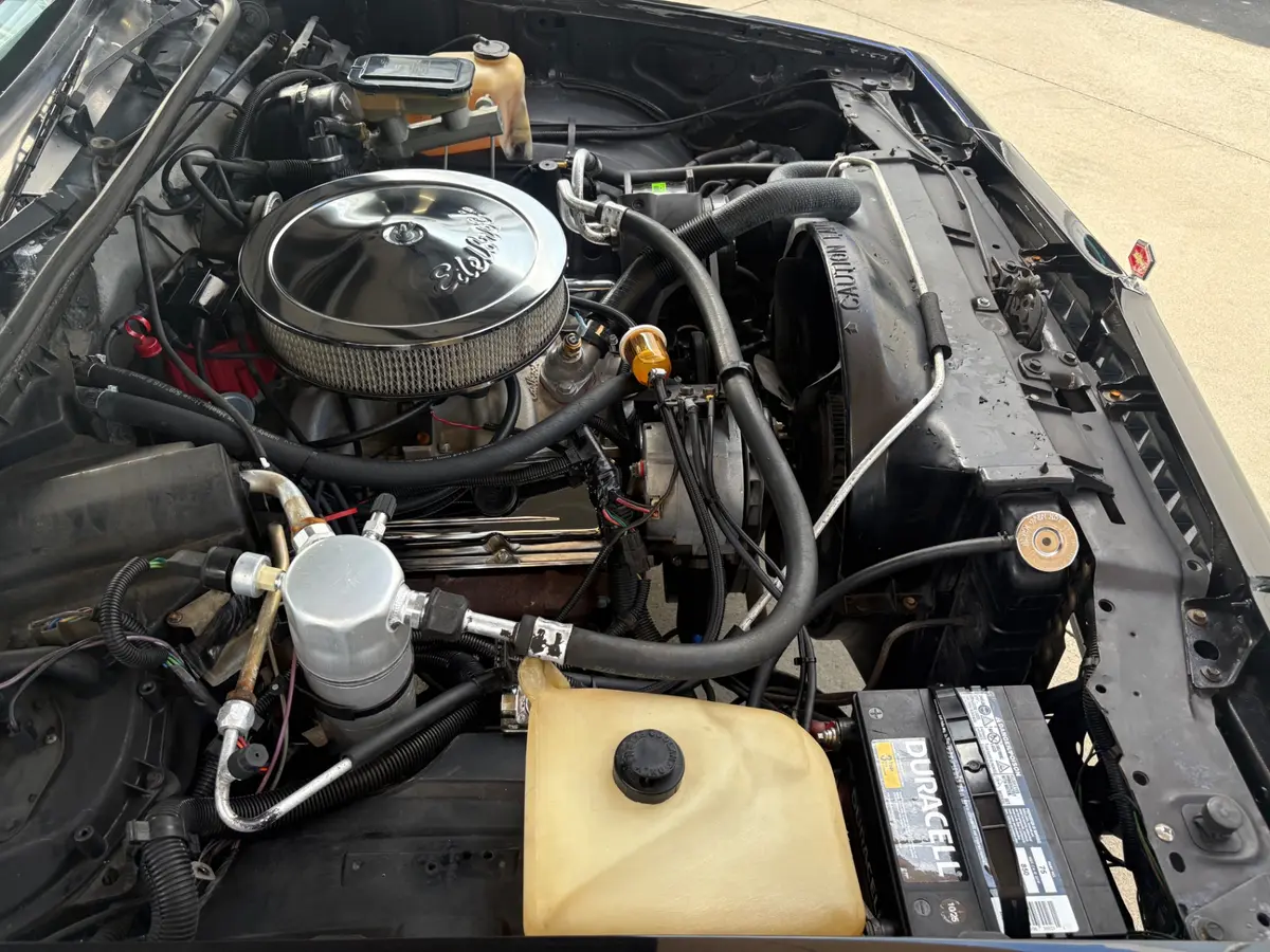 Vehicle photo 24