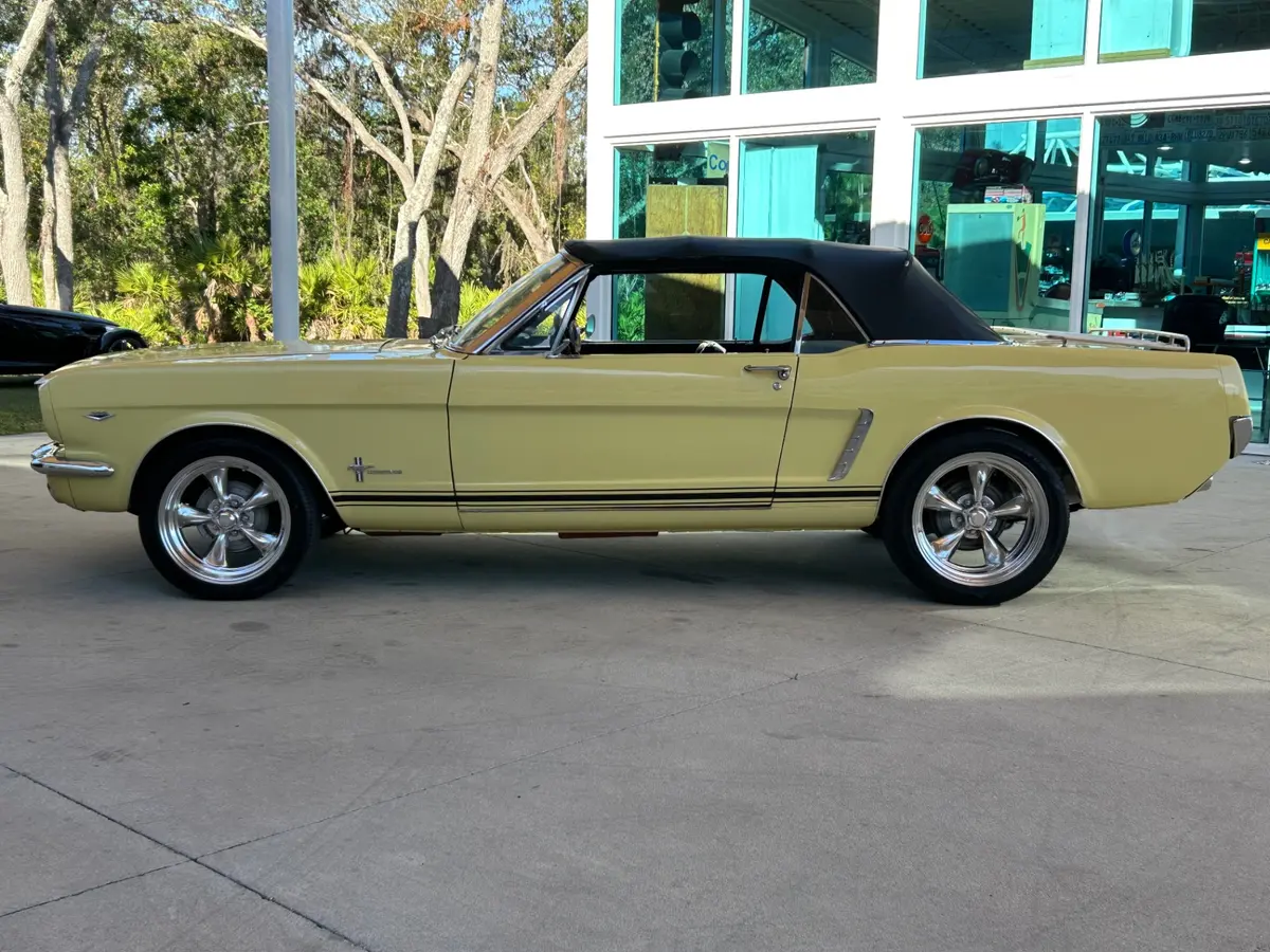 Vehicle photo 15