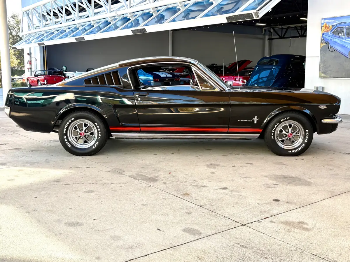 Vehicle photo 5