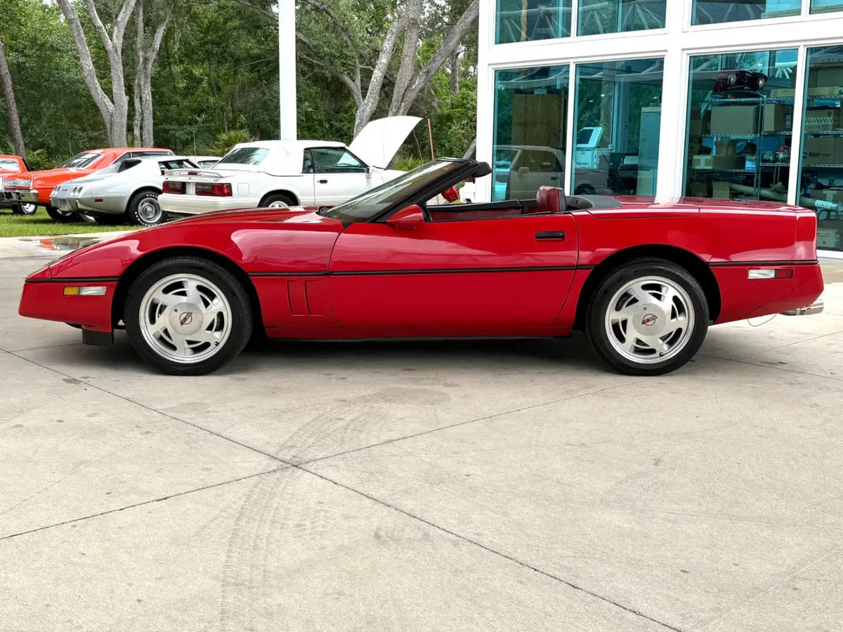 Vehicle photo 11