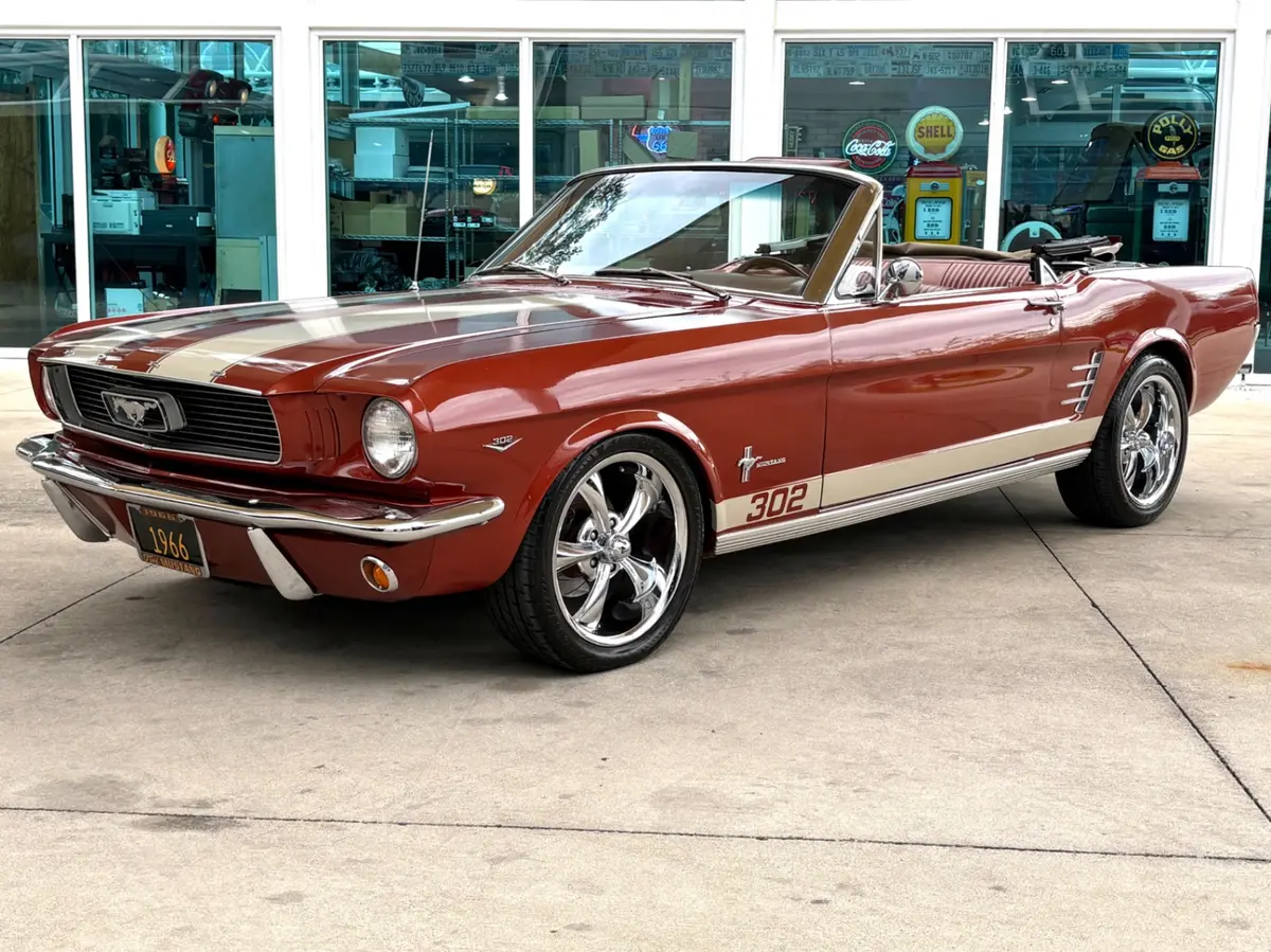 Vehicle photo 11