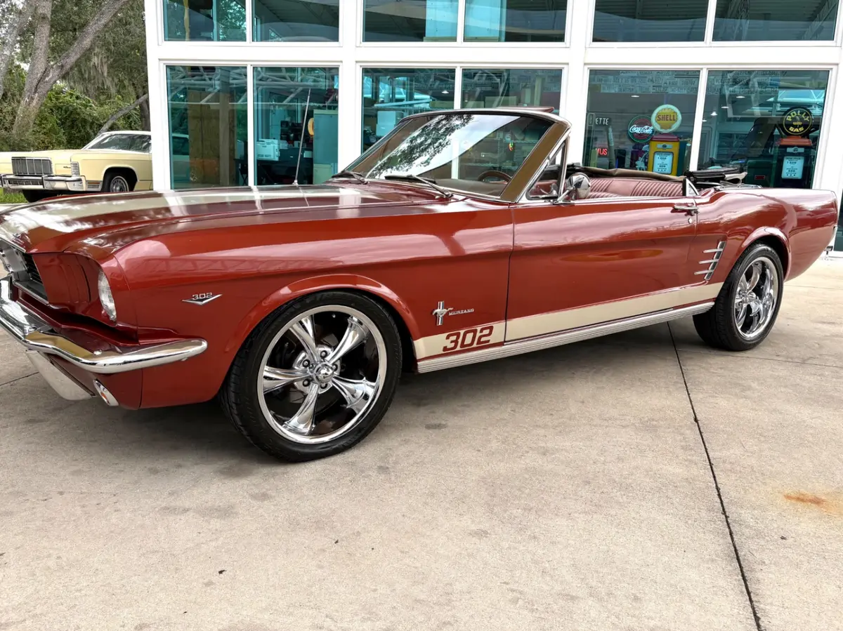 Vehicle photo 12