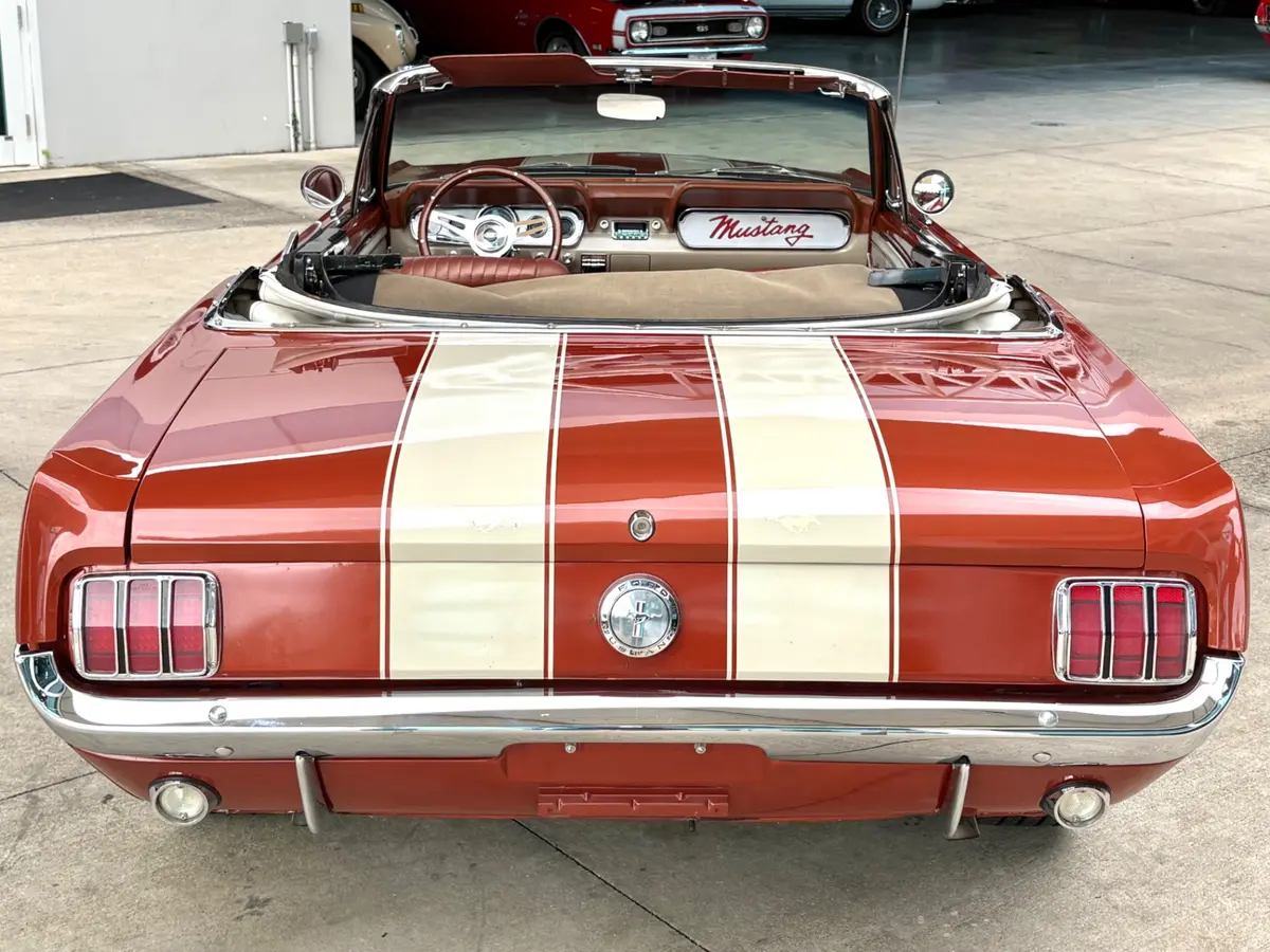 Vehicle photo 8