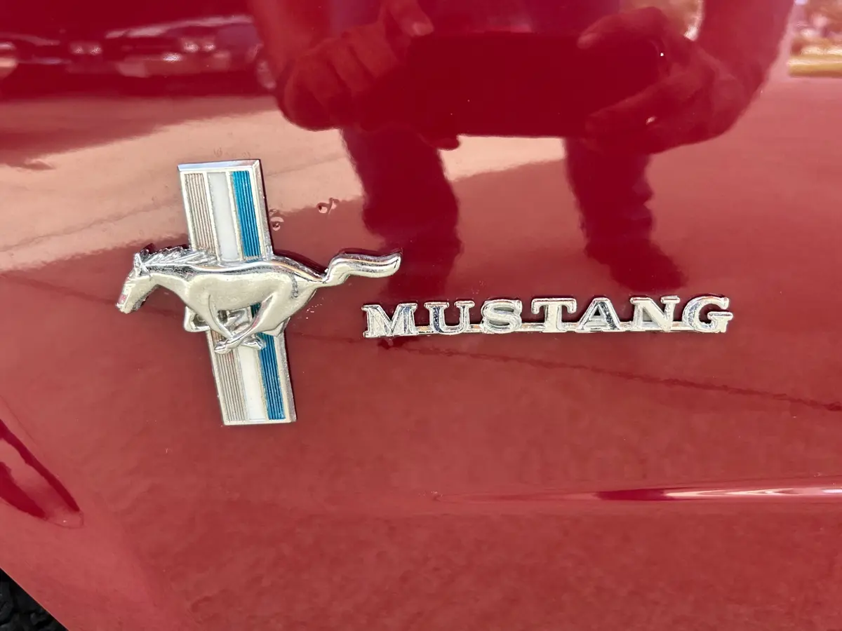 Vehicle photo 11