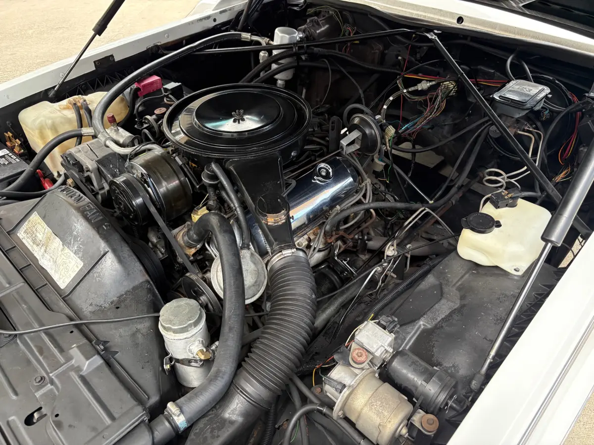 Vehicle photo 30