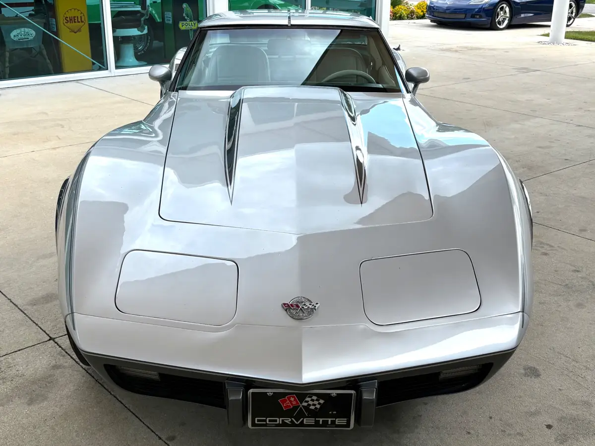 1978 Chevrolet Corvette for Sale | Skyway Classics | SN3372
