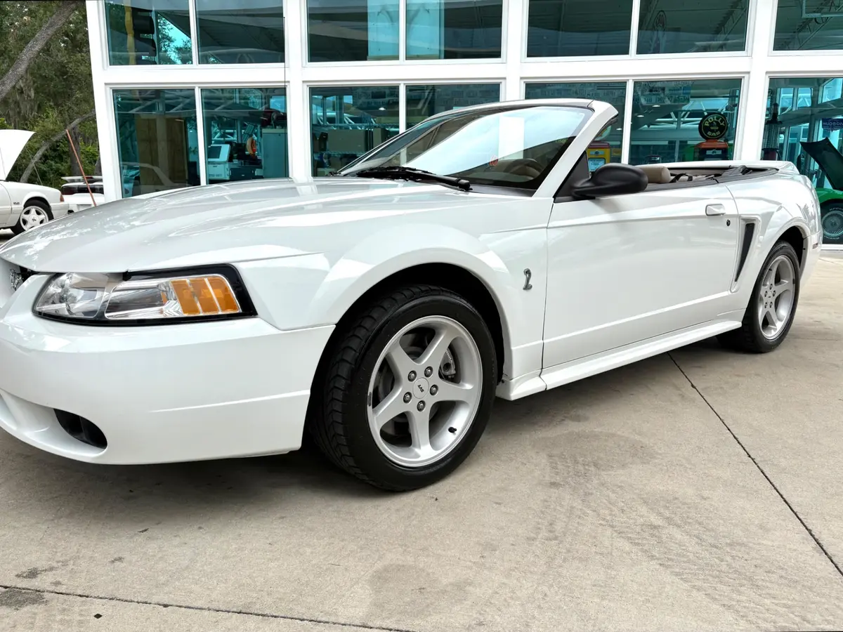 Vehicle photo 12