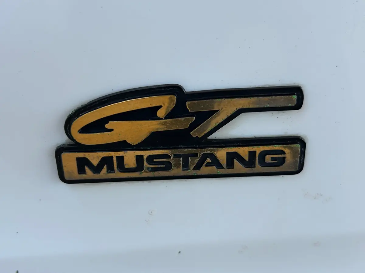 Vehicle photo 14