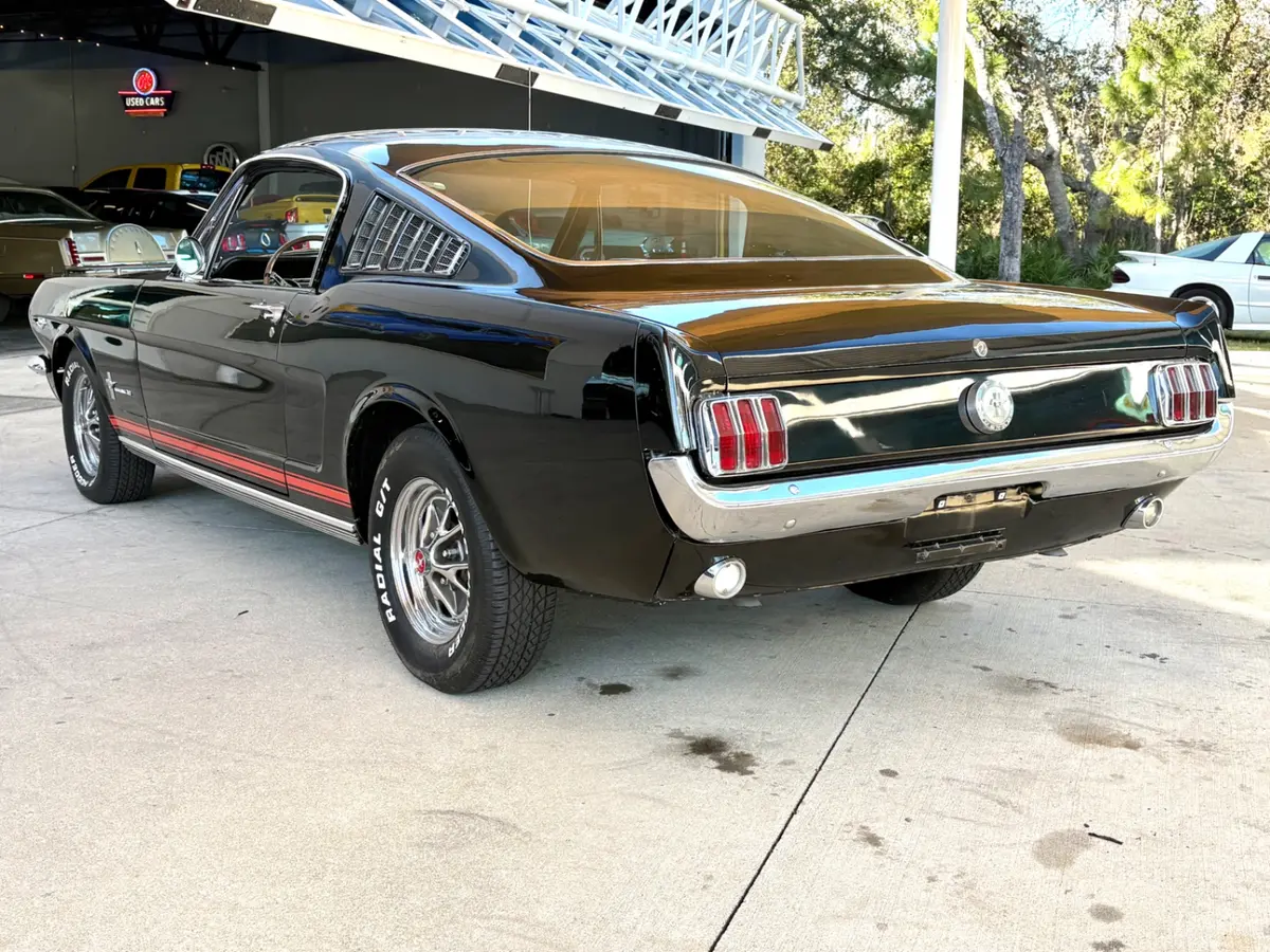 Vehicle photo 10