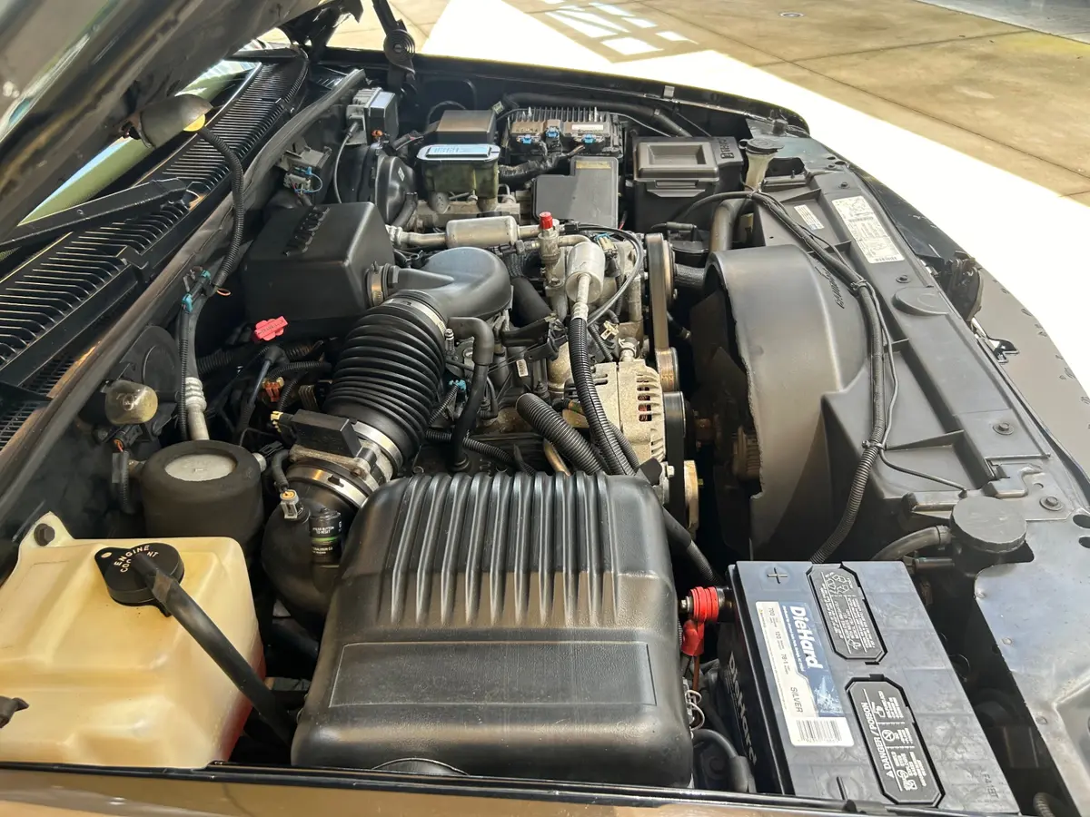 Vehicle photo 14