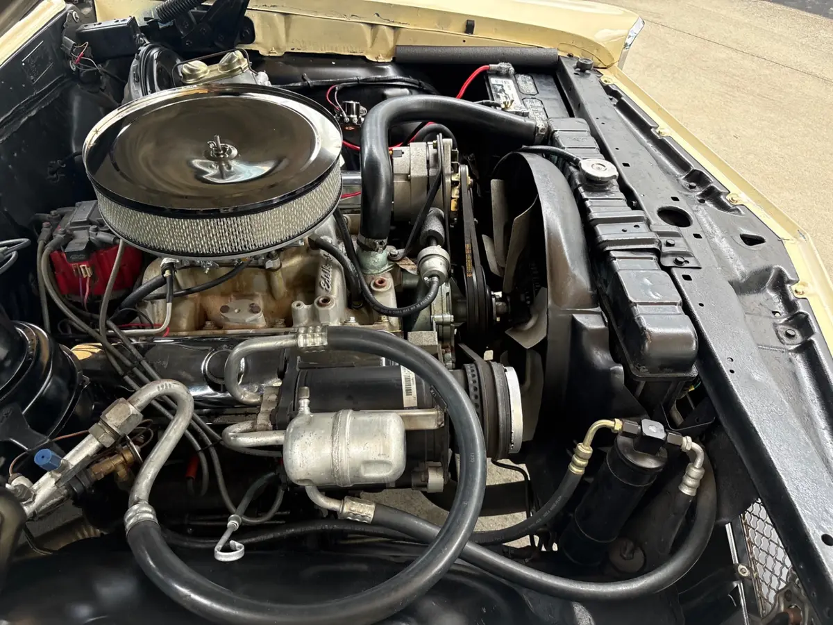 Vehicle photo 31