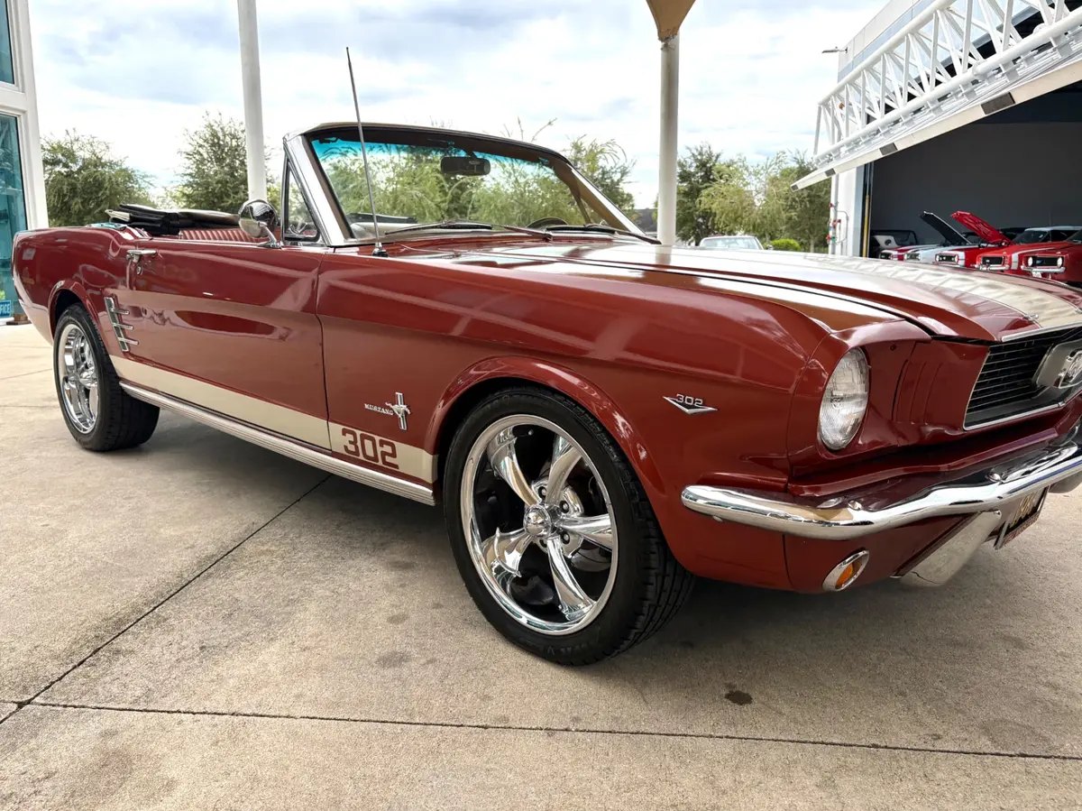 Vehicle photo 19