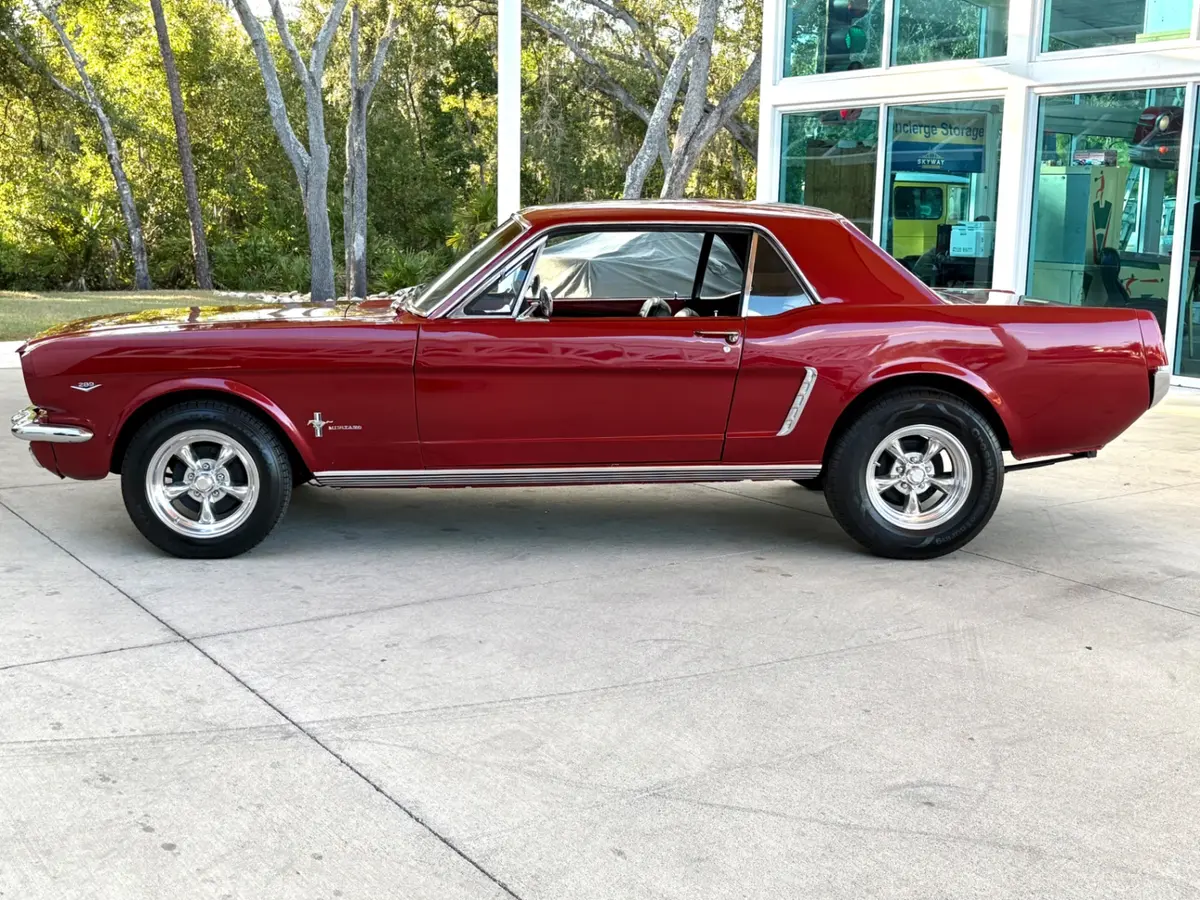 Vehicle photo 11