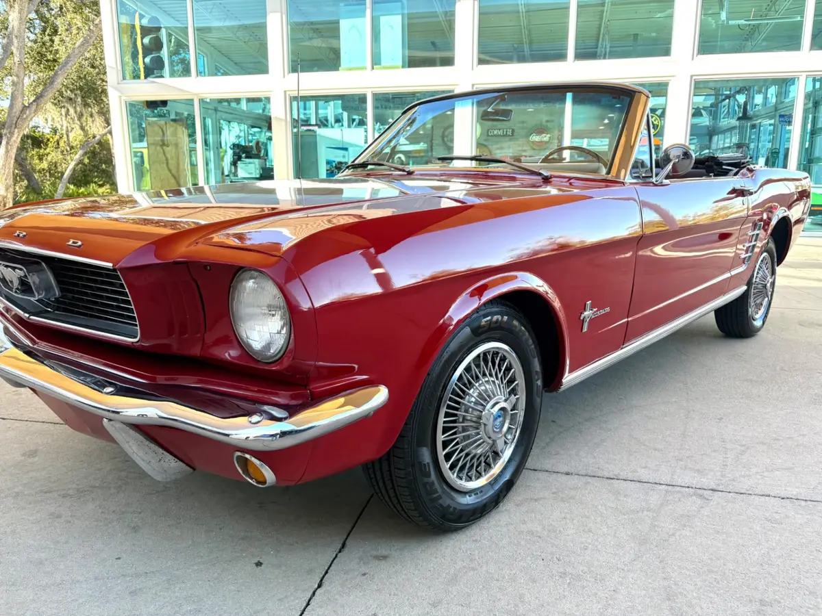 Vehicle photo 13