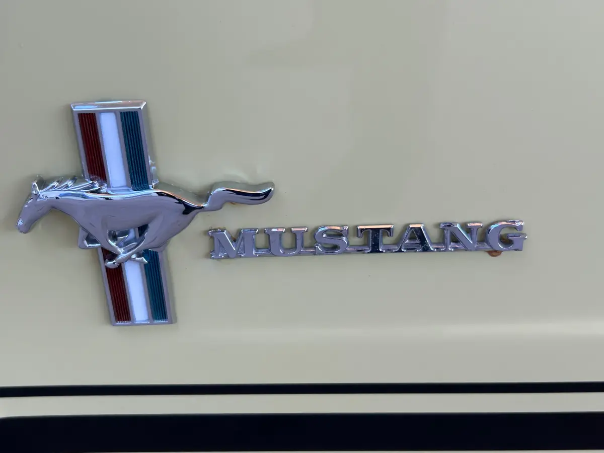 Vehicle photo 17