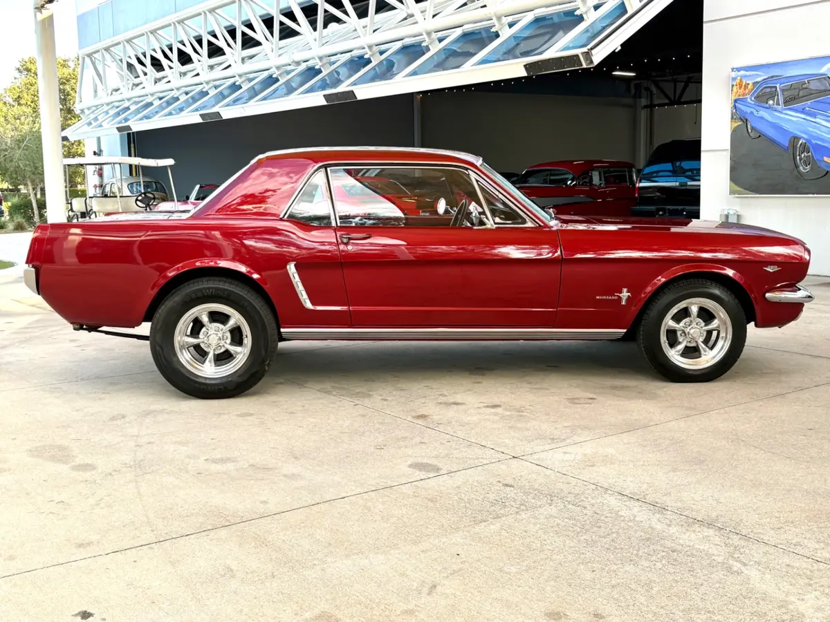 Vehicle photo 5